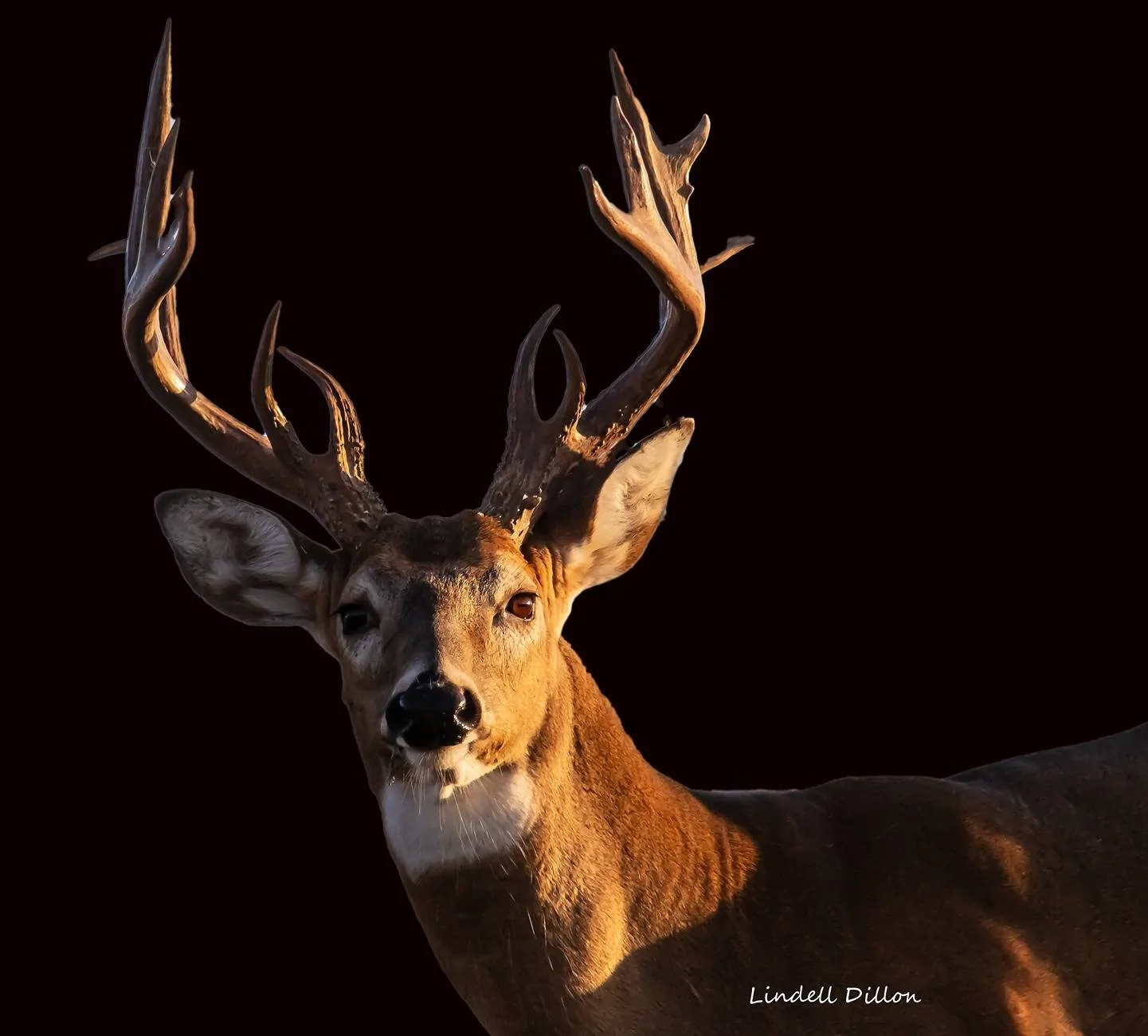 Ford Bronco Sport Post the best photos you've got of your Bronco Sport cropped