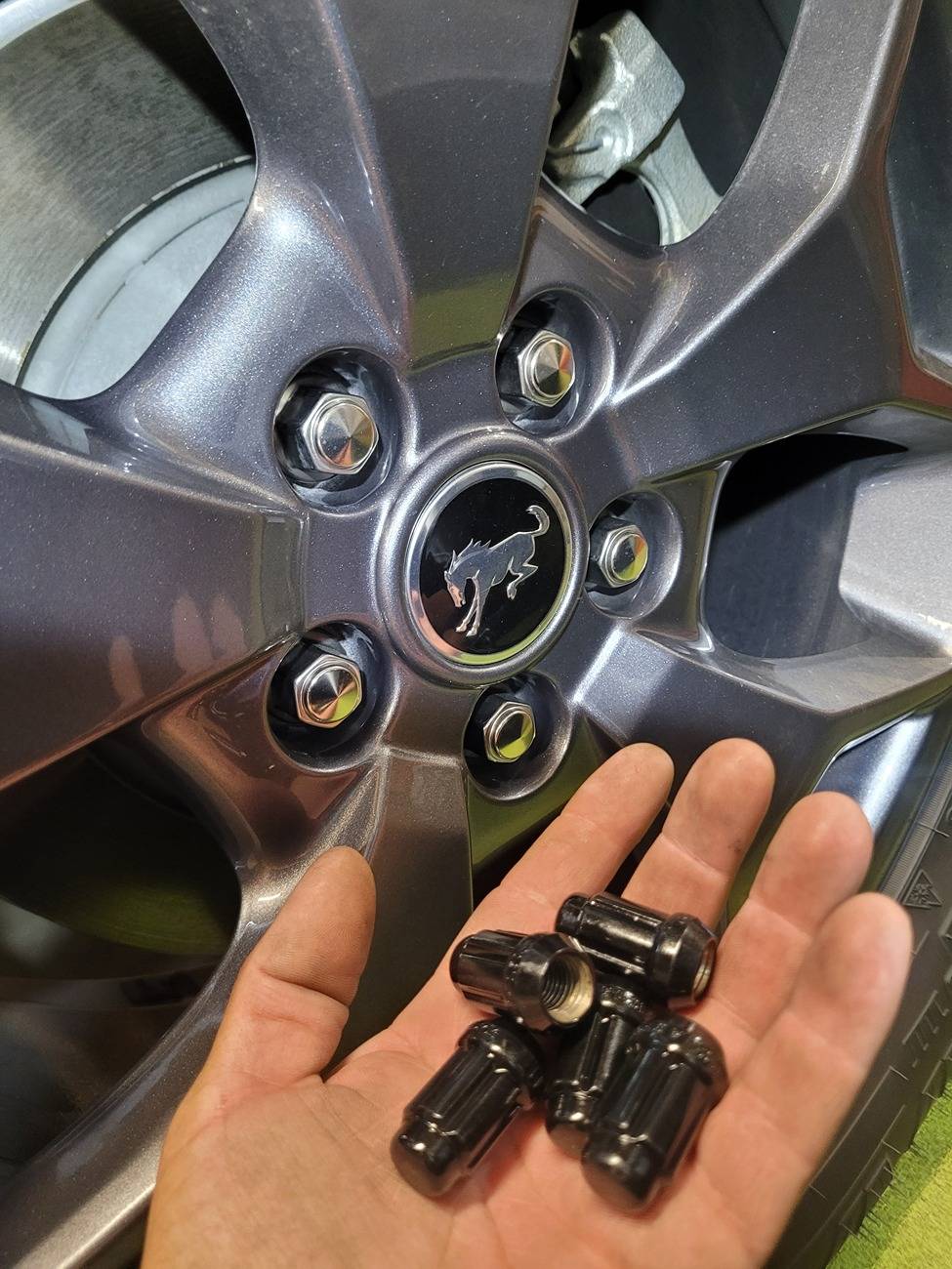 Ford Bronco Sport Quashish Family Ride Thread : 2024 Badlands 20241004_201020