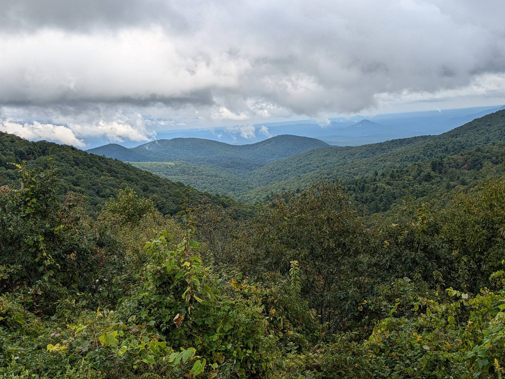 Ford Bronco Sport Go anywhere fun this week? 1000009192