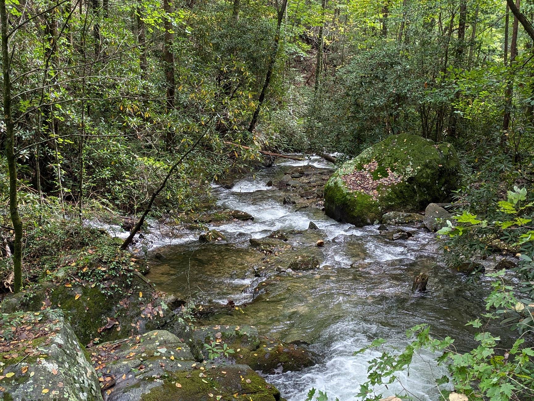 Ford Bronco Sport Go anywhere fun this week? 1000009311