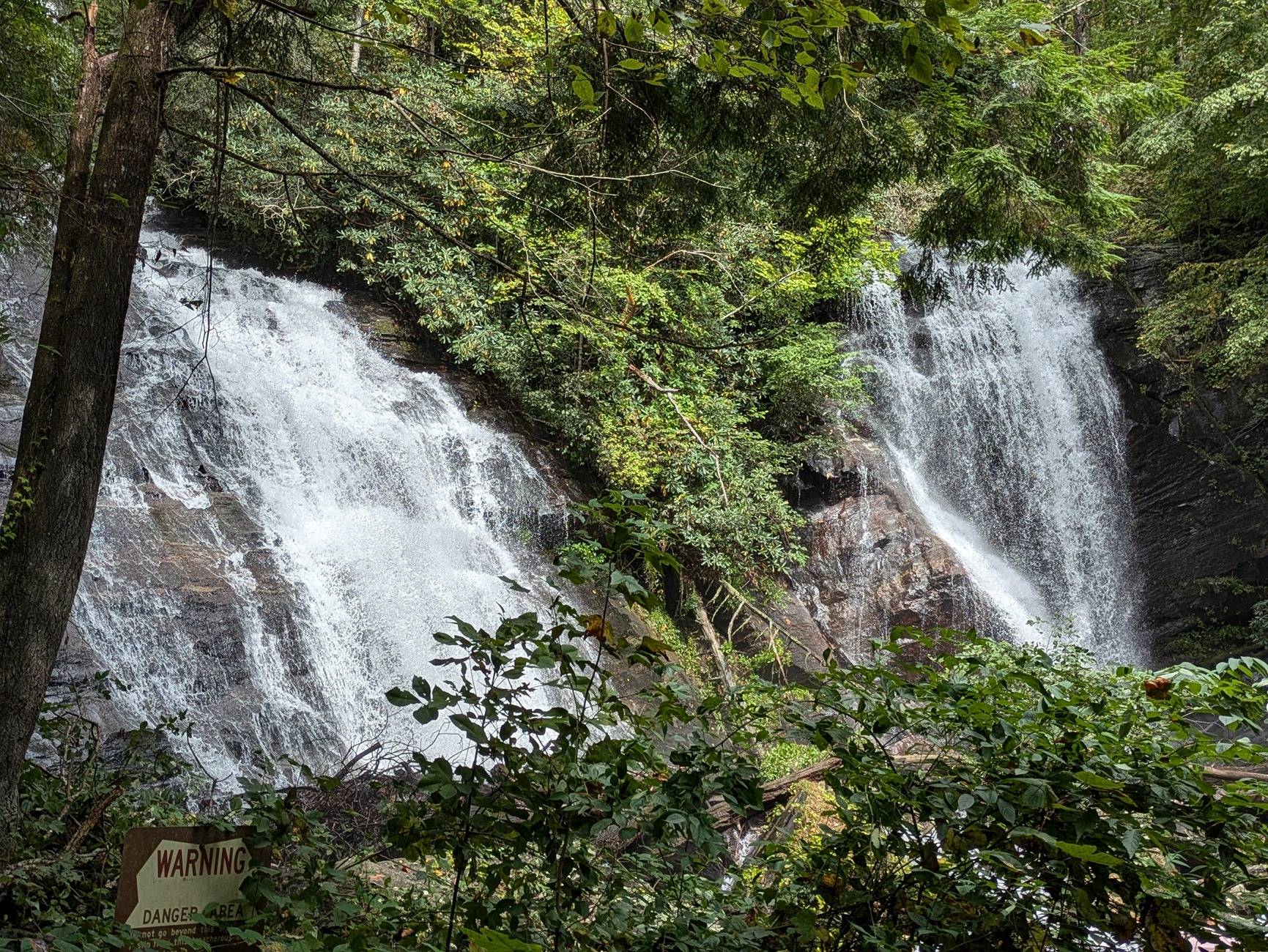 Ford Bronco Sport Go anywhere fun this week? 1000009328