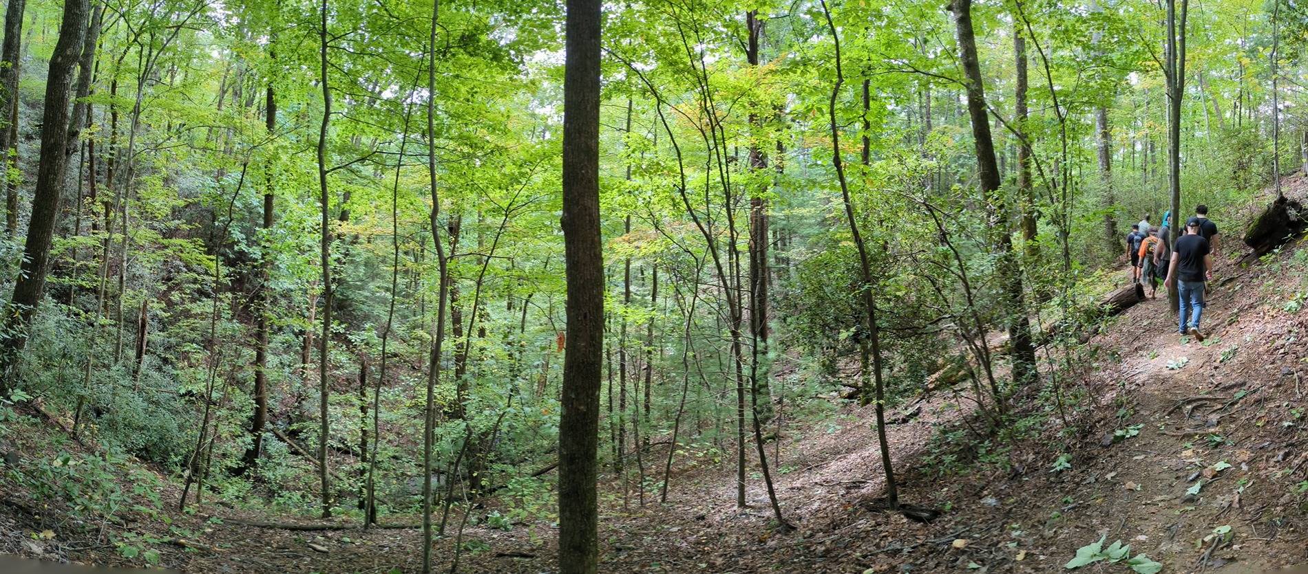 Ford Bronco Sport Go anywhere fun this week? 1000009340