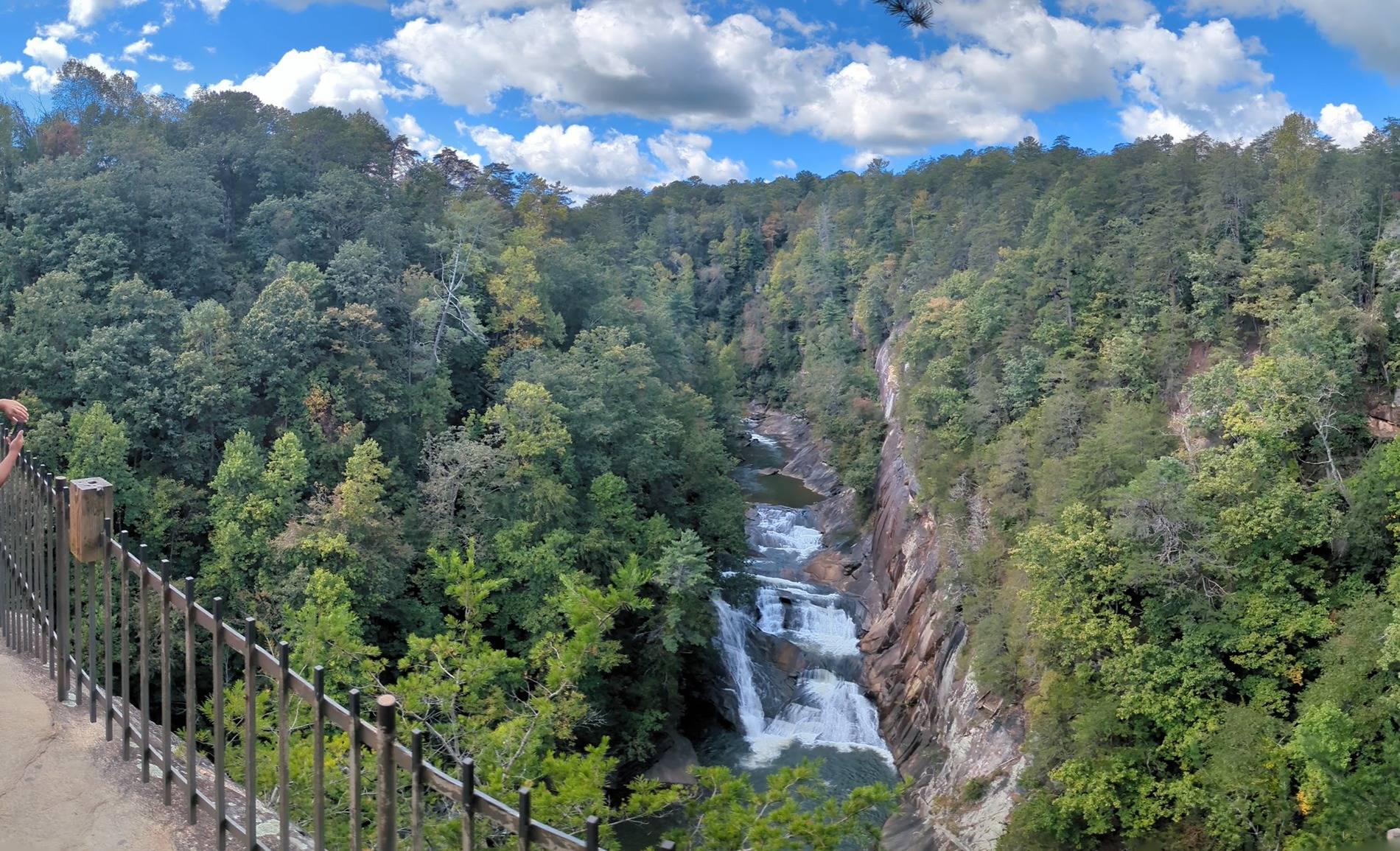 Ford Bronco Sport Go anywhere fun this week? 1000009453