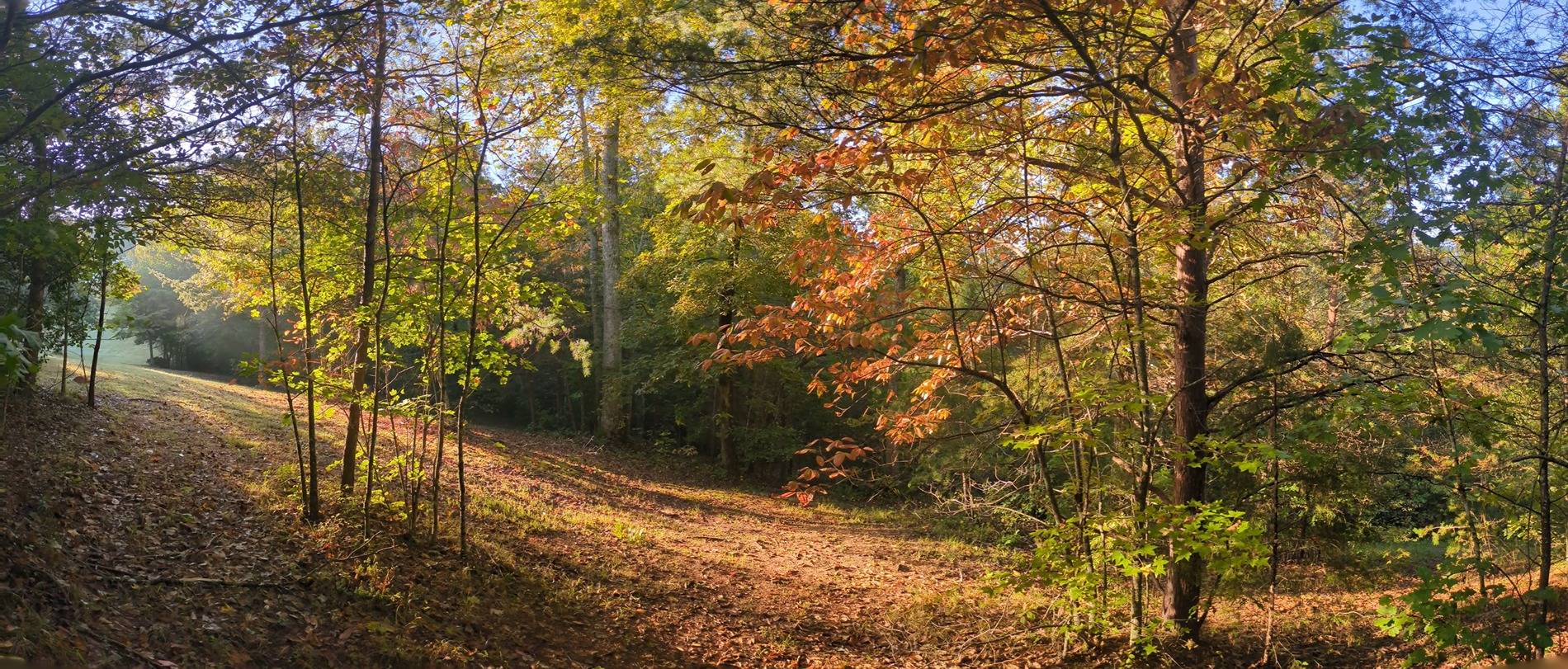 Ford Bronco Sport Go anywhere fun this week? 1000009388