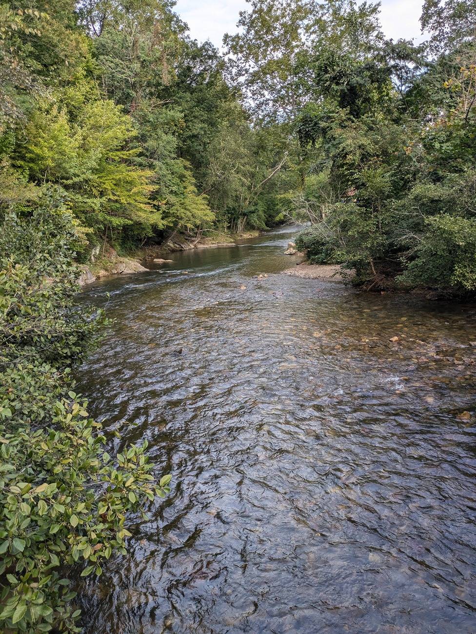 Ford Bronco Sport Go anywhere fun this week? 1000009593
