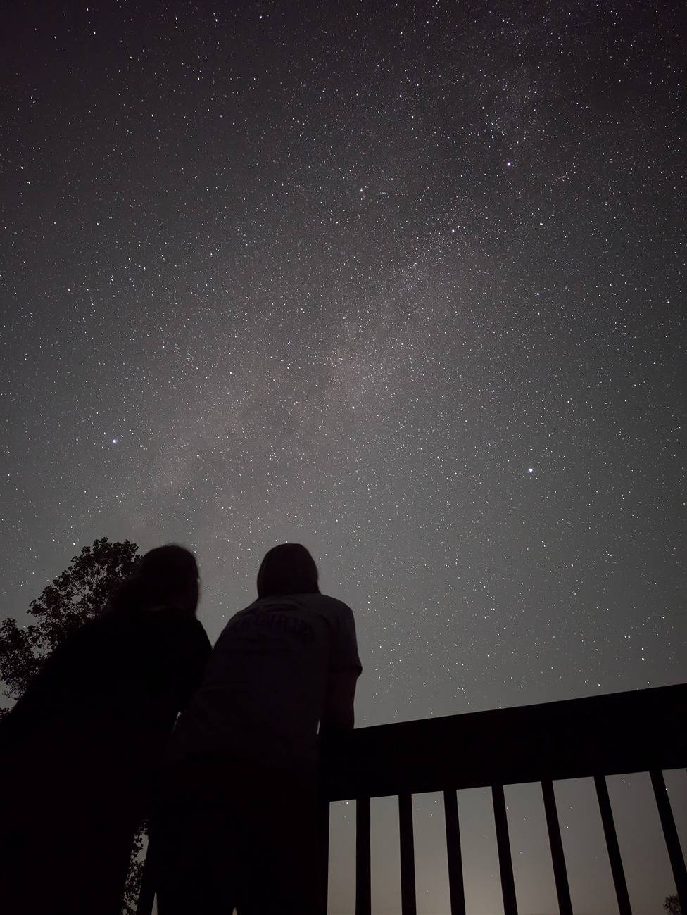 Ford Bronco Sport Go anywhere fun this week? 1000009379