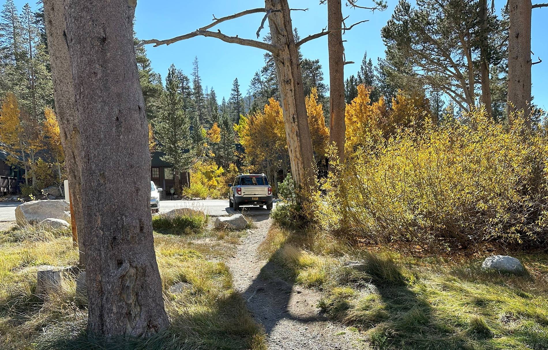 Ford Bronco Sport ROAD TRIP REPORT 1