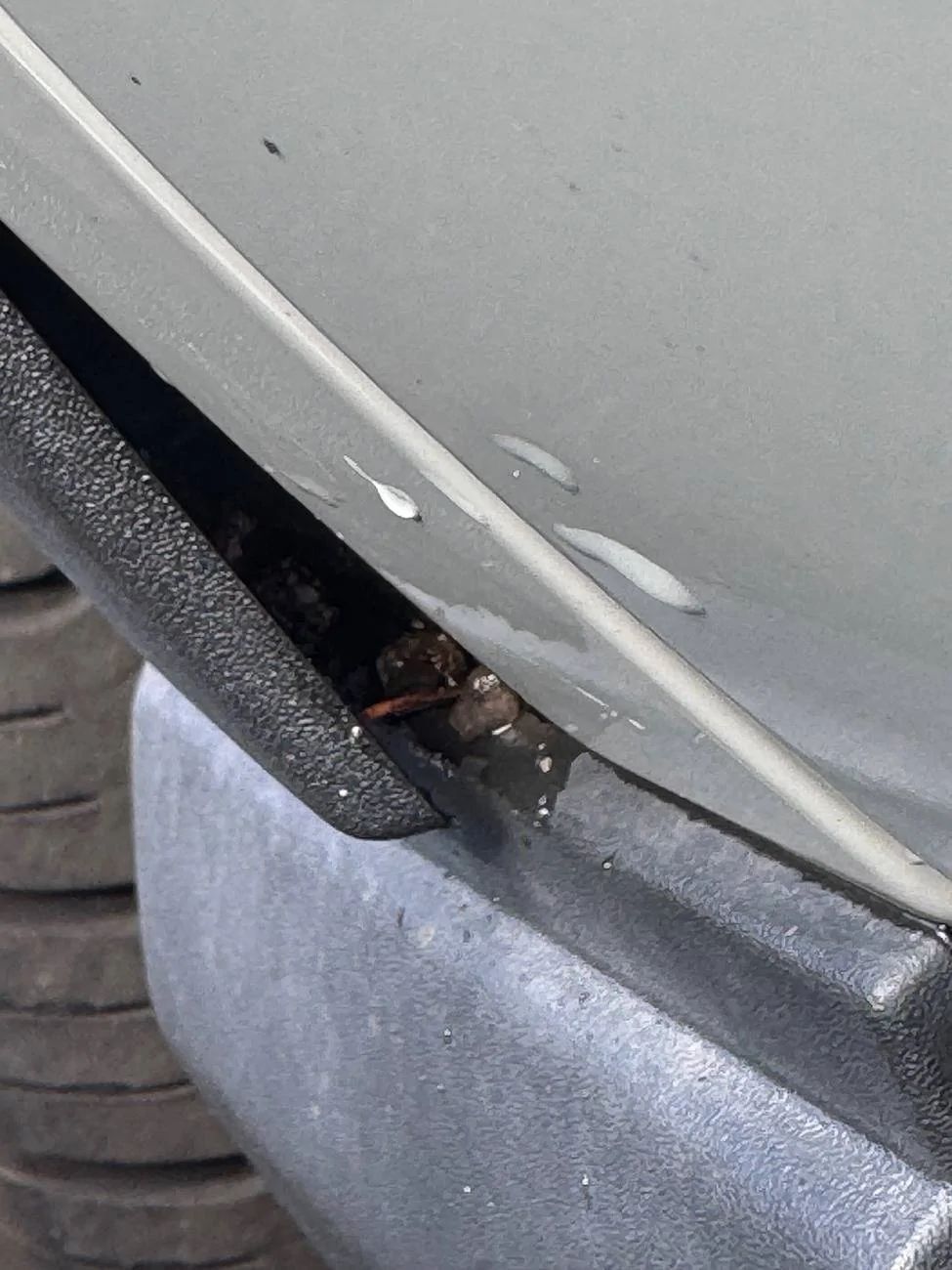 Ford Bronco Sport Wheel Well Trim Filled with Debris IMG_0629