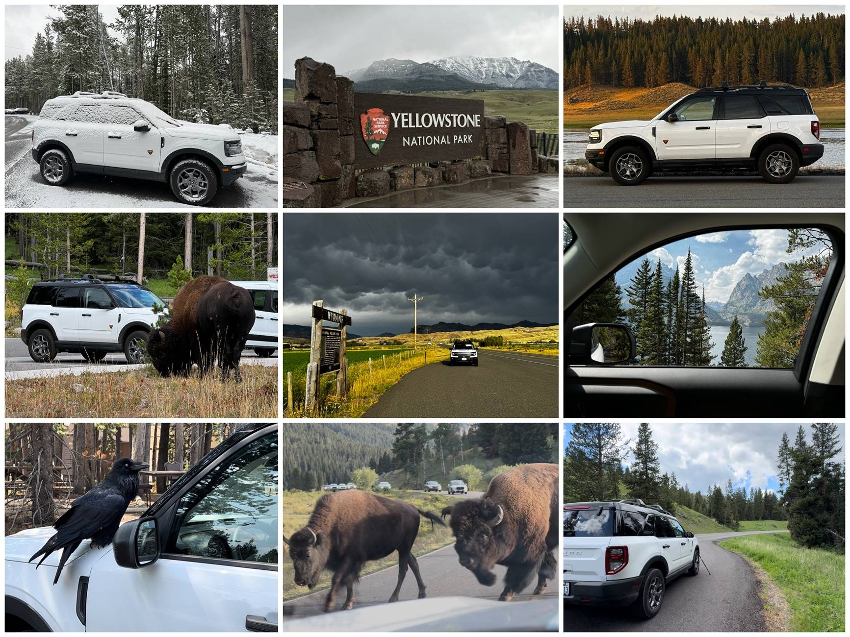 Ford Bronco Sport Sport In Yellowstone YNP BRONCO SPORT