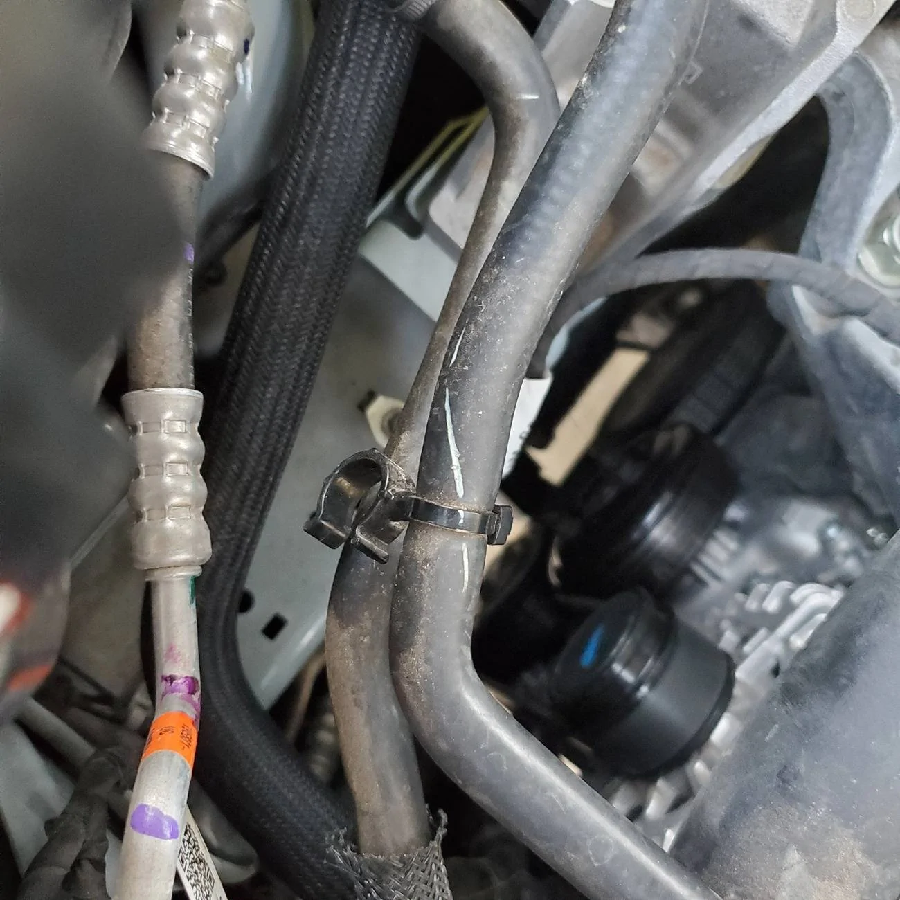 Ford Bronco Sport Made appointment, took BS to dealership, found out I only scheduled to drop off vehicle 20241025_180805