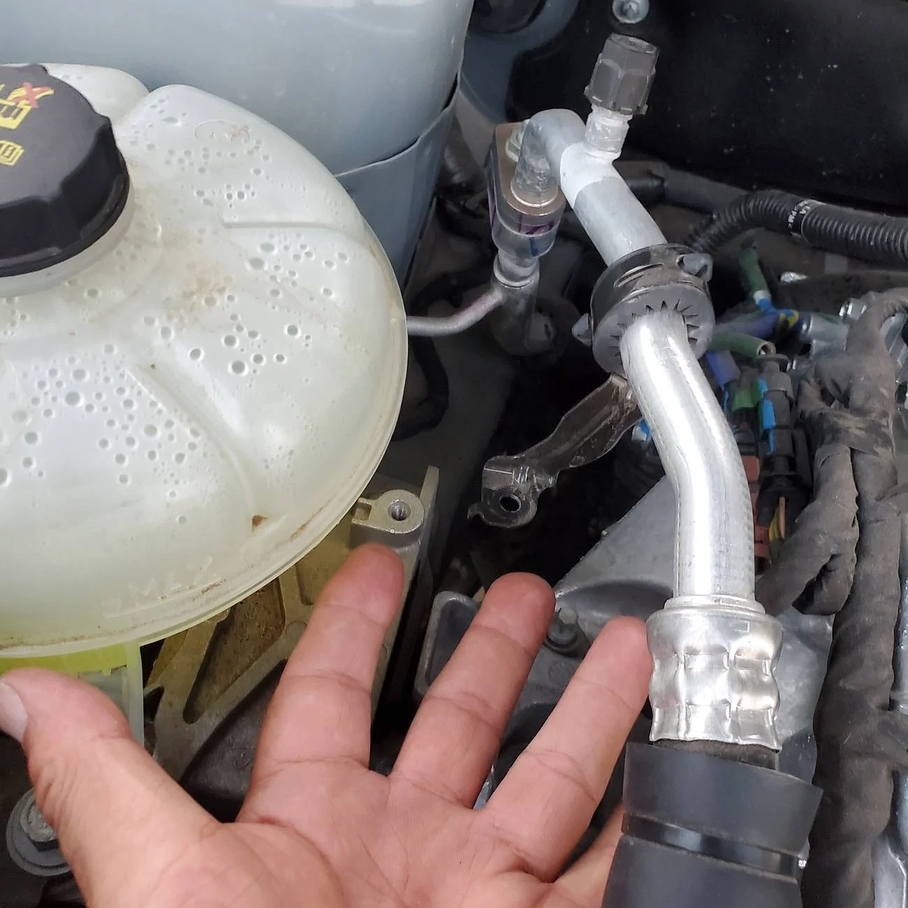 Ford Bronco Sport Made appointment, took BS to dealership, found out I only scheduled to drop off vehicle 20241025_180750