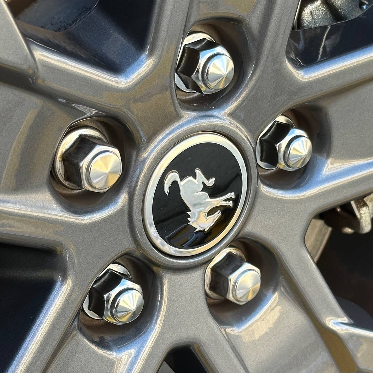 Ford Bronco Sport What did you do TO your Bronco Sport today? IMG_3053