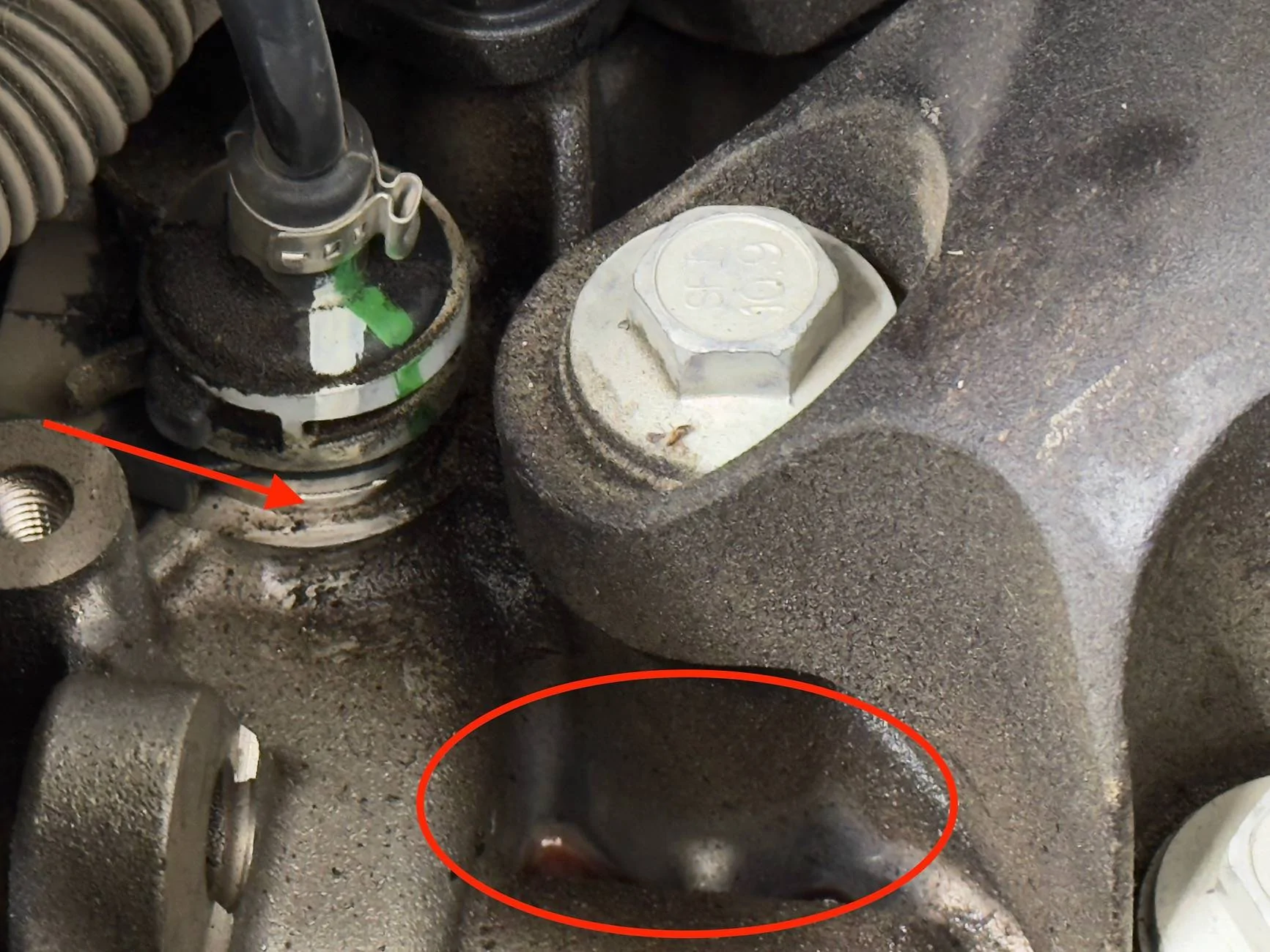 Ford Bronco Sport reddish fluid leaking on top of engine IMG_0487