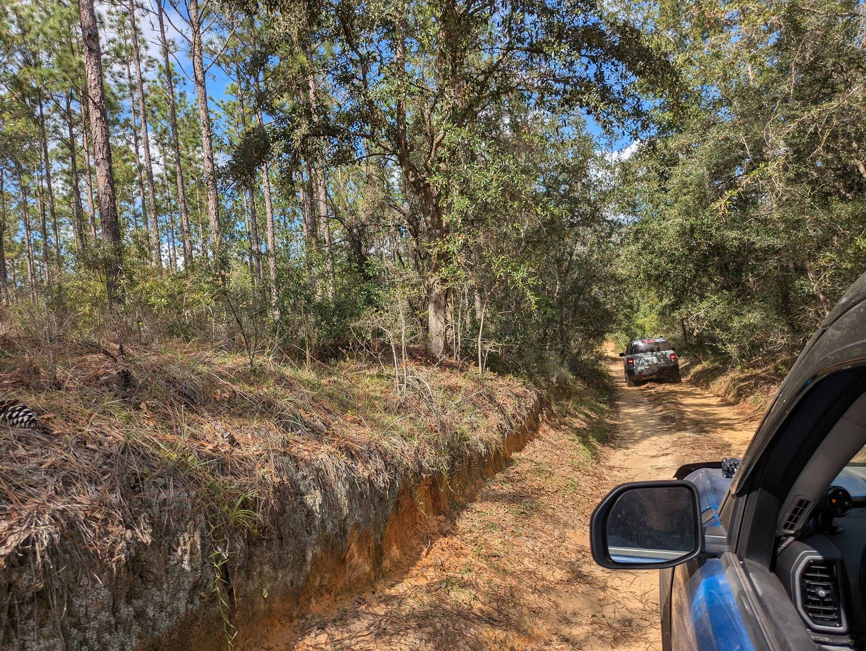 Ford Bronco Sport Trip Report: Citrus Wildlife Management Area, Inverness FL with 2 Bronco Sports a3