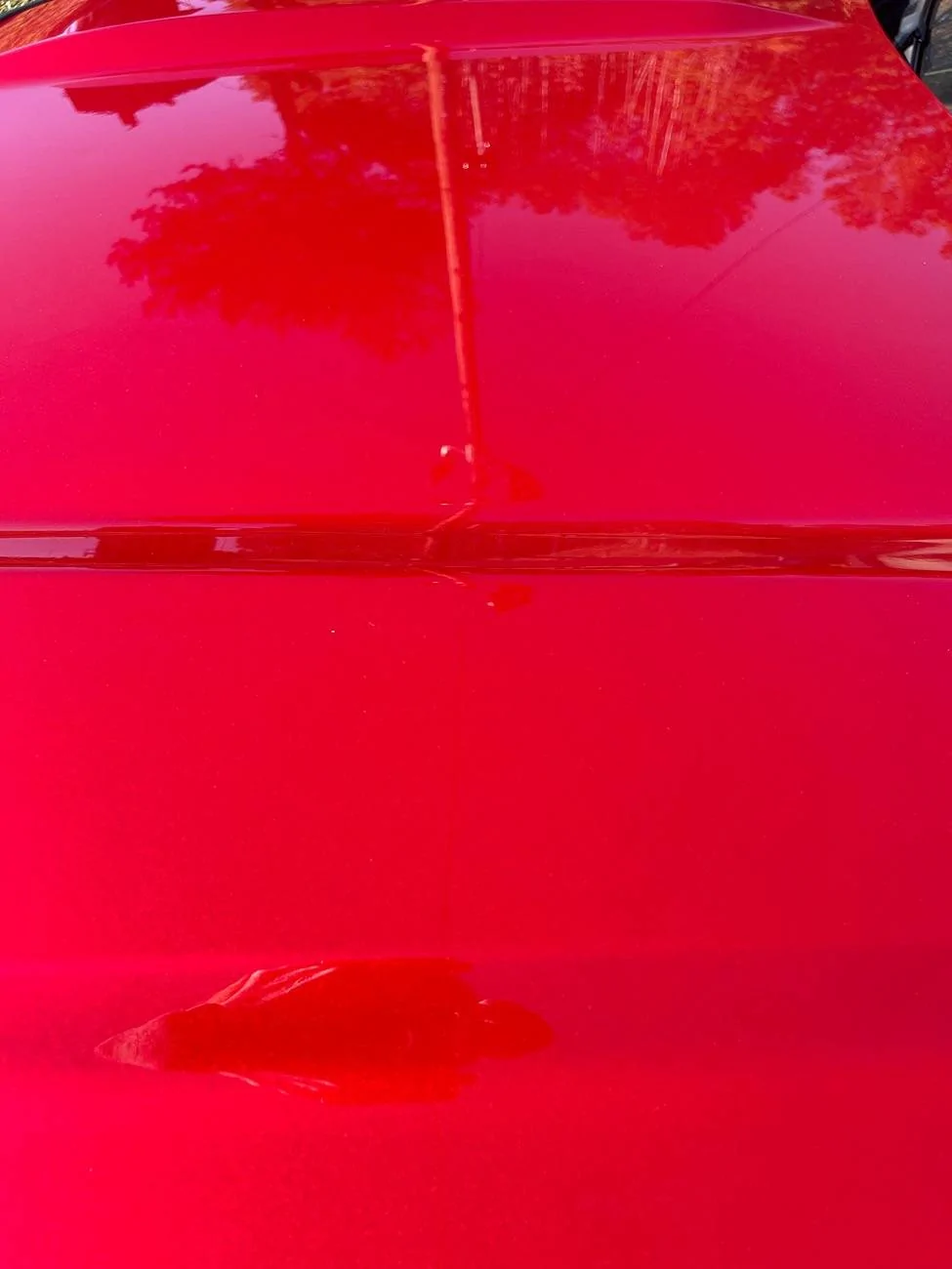 Ford Bronco Sport What did you do TO your Bronco Sport today? IMG_3628