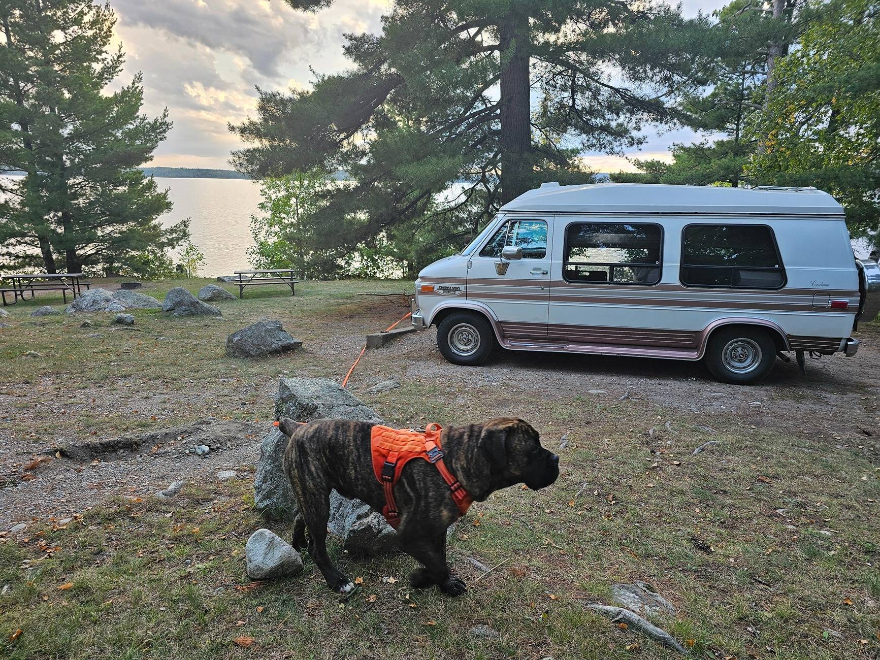 Ford Bronco Sport What else do you drive? 20240915_183601
