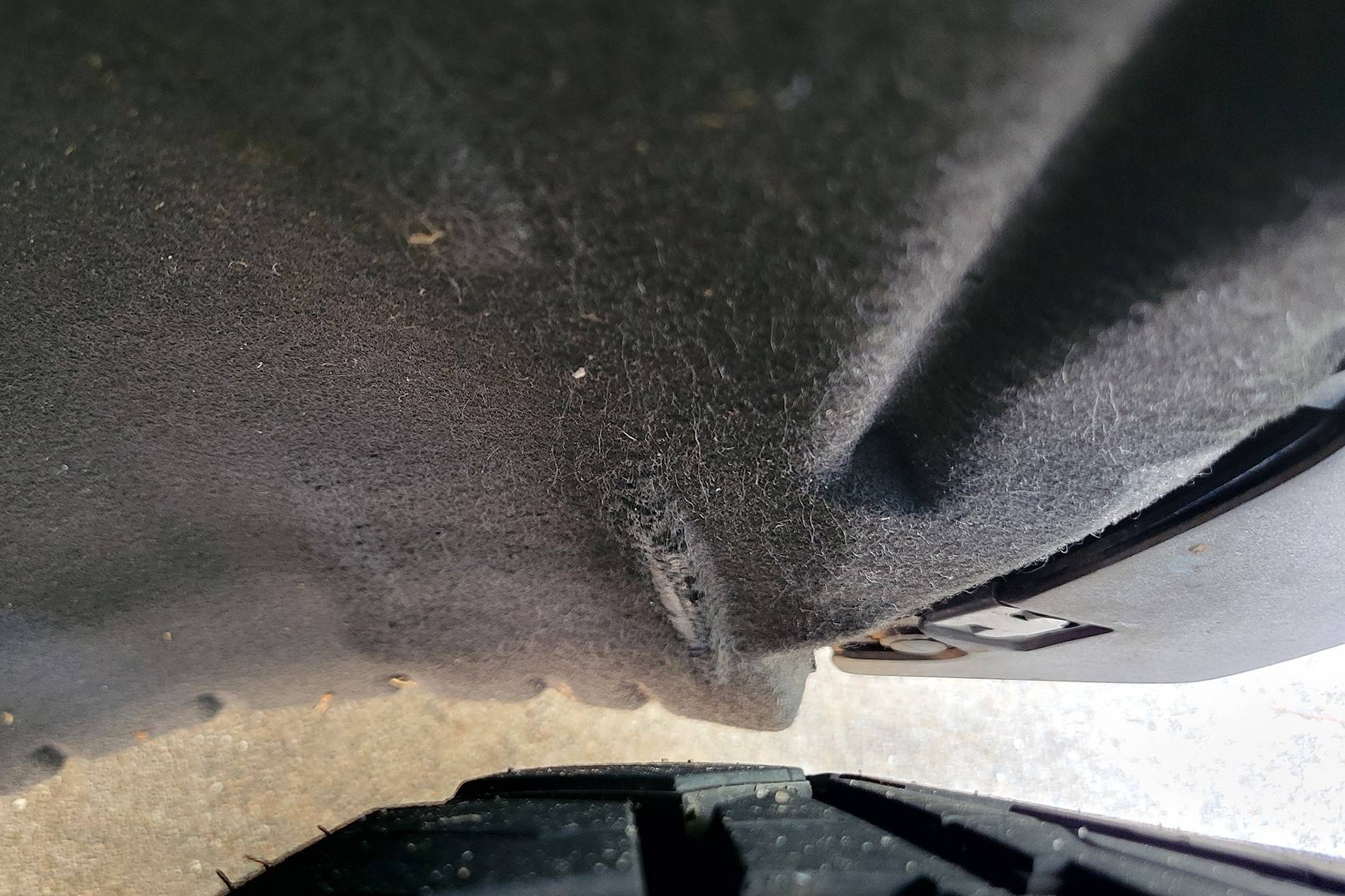 Ford Bronco Sport Olive - Meanderthal’s BS BL 20230819_111559-2