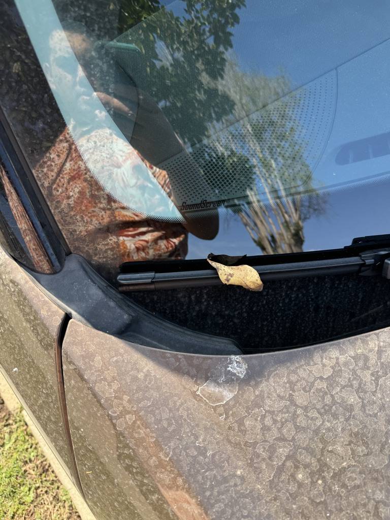 Ford Bronco Sport Best Windshield Wiper Replacements (especially Rear) B1EC7CB1-3D71-460E-A4DF-1F1EEDEAA123_1_105_c