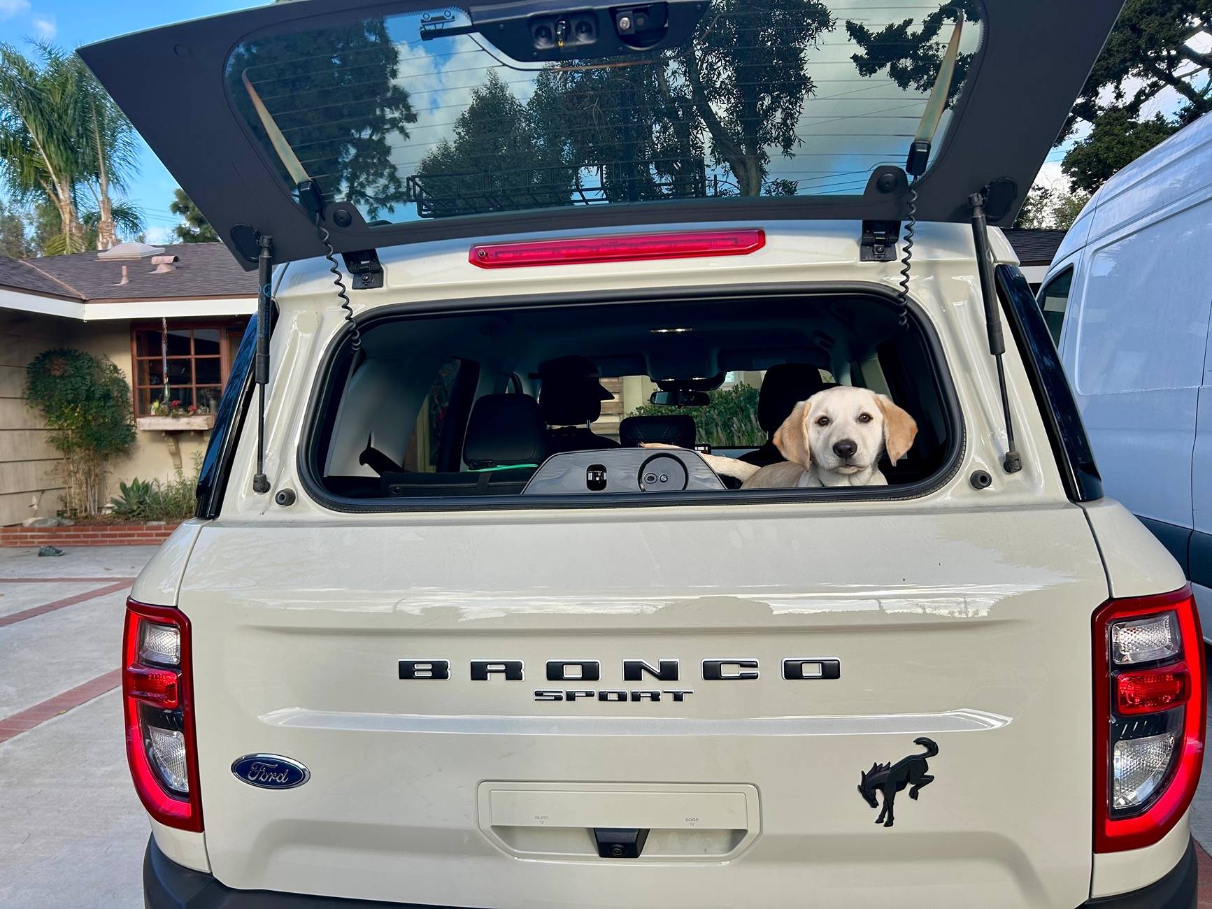 Ford Bronco Sport BSBB color IMG_0429