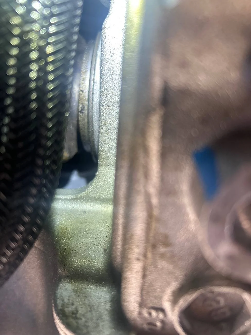 Ford Bronco Sport Bronco sport 1.5 liter engine and transmission leak. IMG_6546