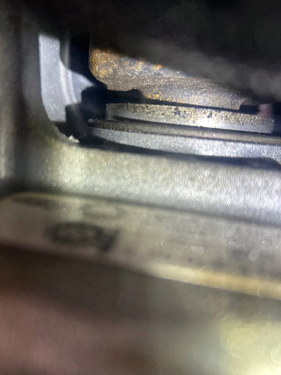 Ford Bronco Sport Ford Bronco 1.5 liter engine and transmission leak. IMG_6545