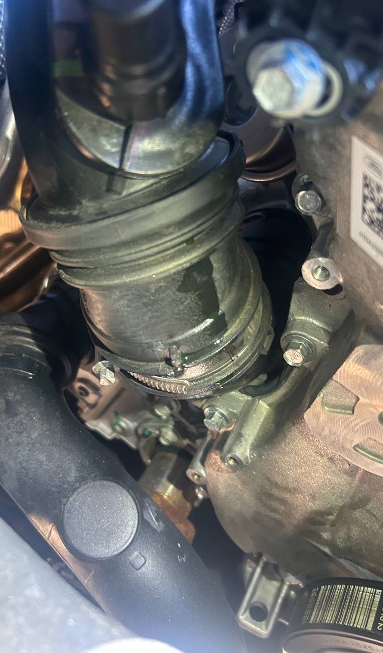 Ford Bronco Sport Ford Bronco 1.5 liter engine and transmission leak. IMG_6800