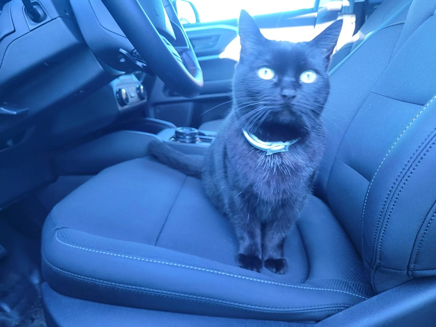 Ford Bronco Sport Quashish Family Ride Thread : 2024 Badlands 20250208_154155