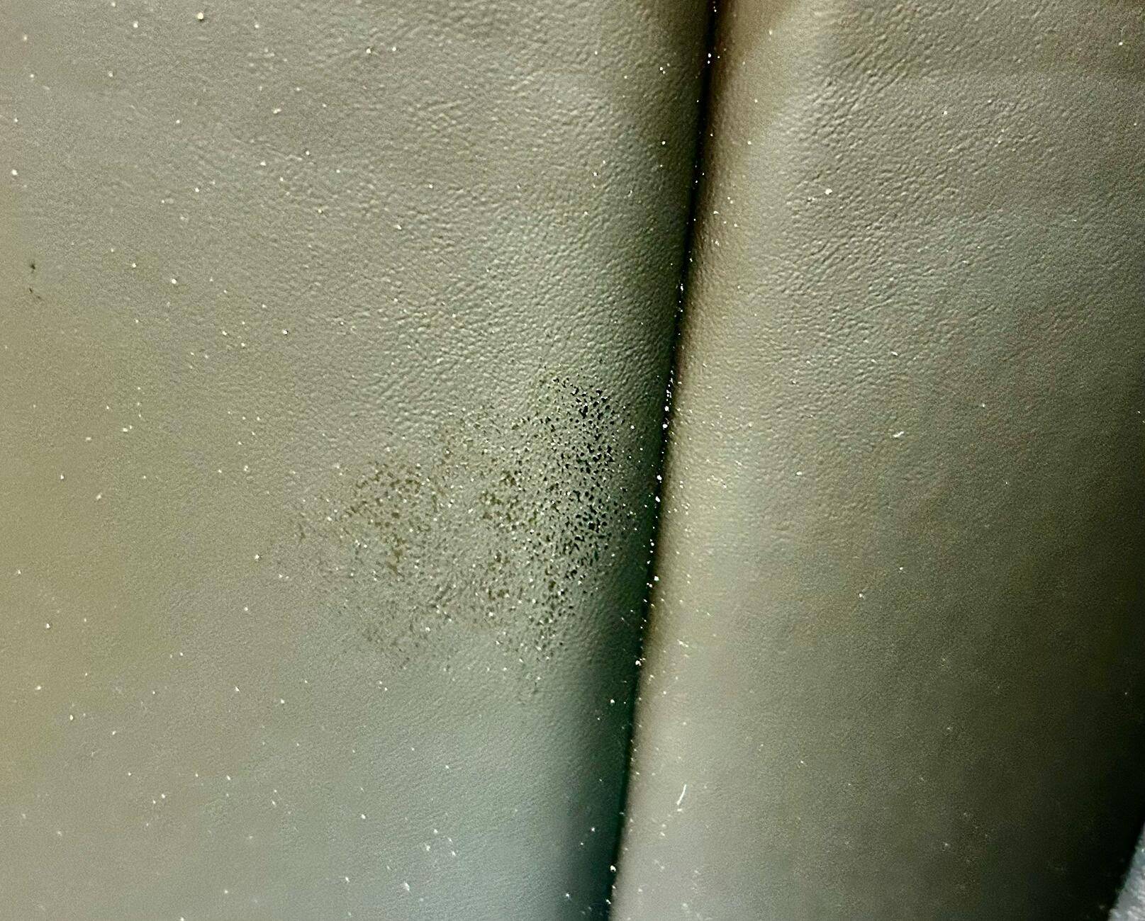 Ford Bronco Sport Alcohol wipe left stain on front seat tempImagetyswvn
