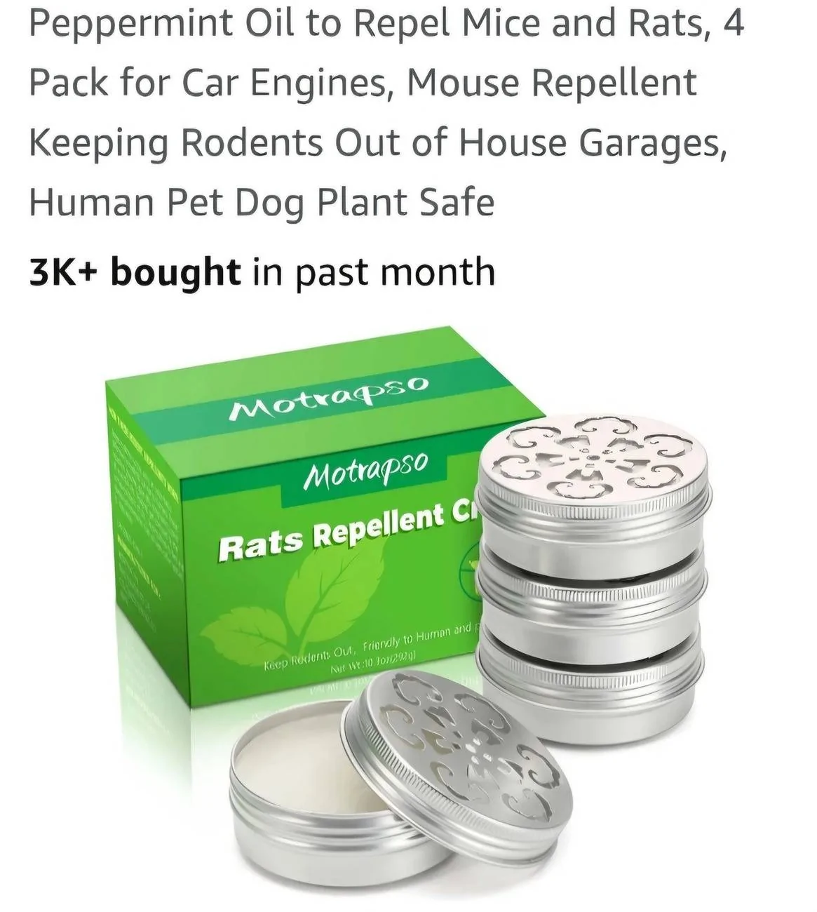 Ford Bronco Sport Critters Nesting in 2024 BS Big Bend 4vxzxY5F-8317606