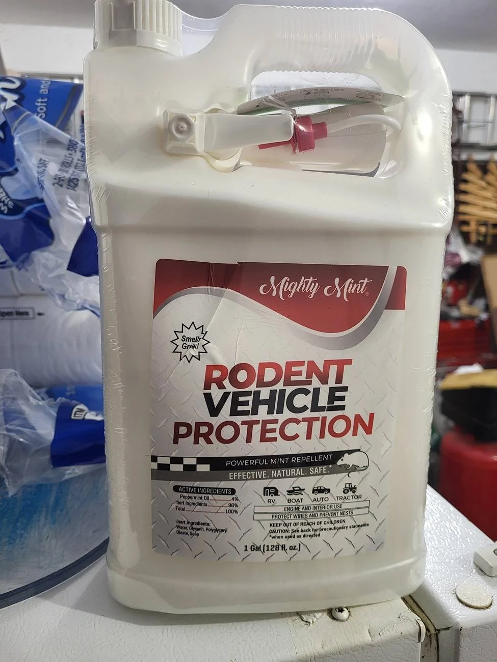 Ford Bronco Sport Critters Nesting in 2024 BS Big Bend 1000004738