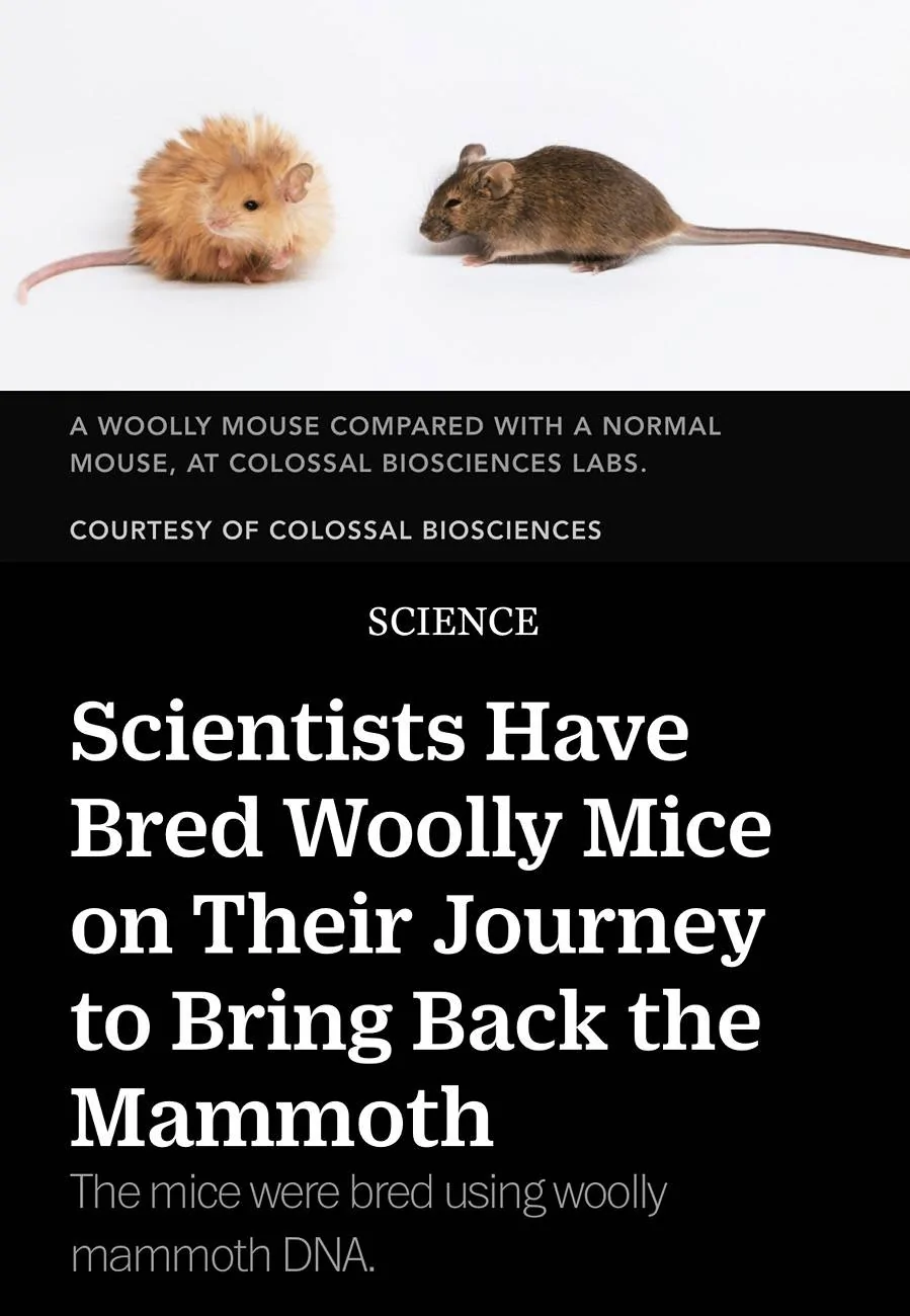 Ford Bronco Sport Critters Nesting in 2024 BS Big Bend IMG_4019