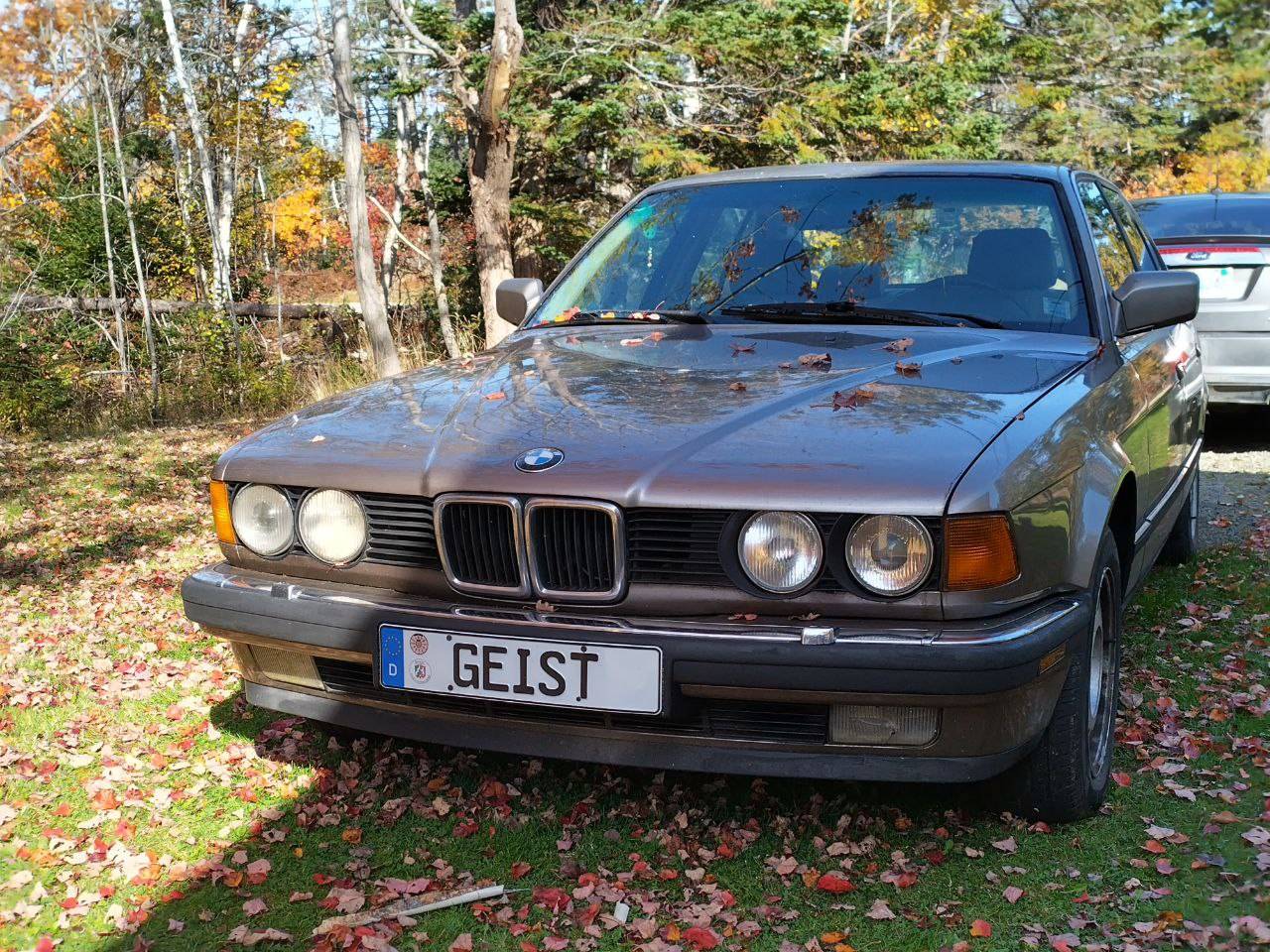 Ford Bronco Sport Say Hello and Introduce Yourself! ? bme