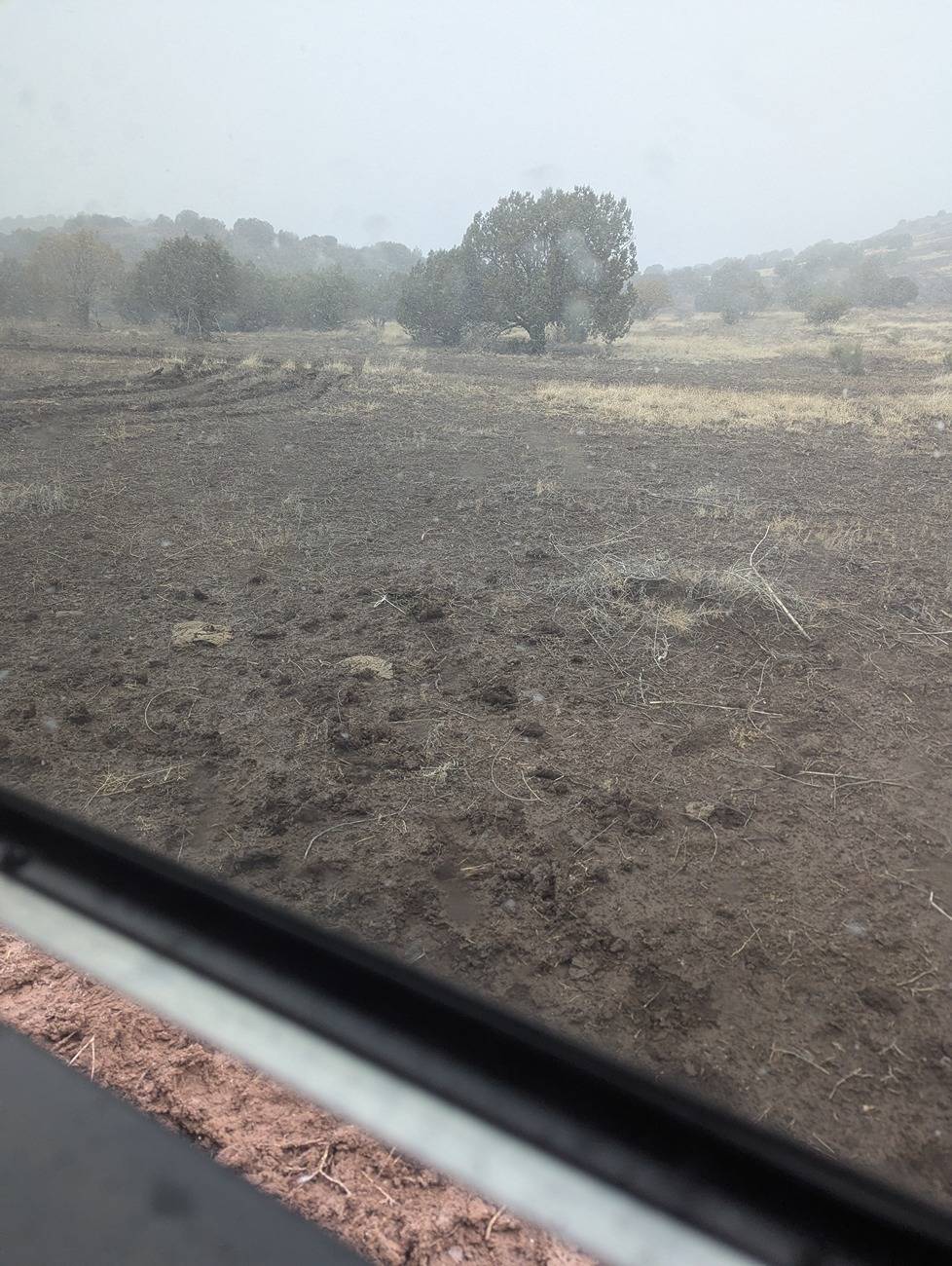 Ford Bronco Sport God dang I love my baby bronco PXL_20250314_232228035