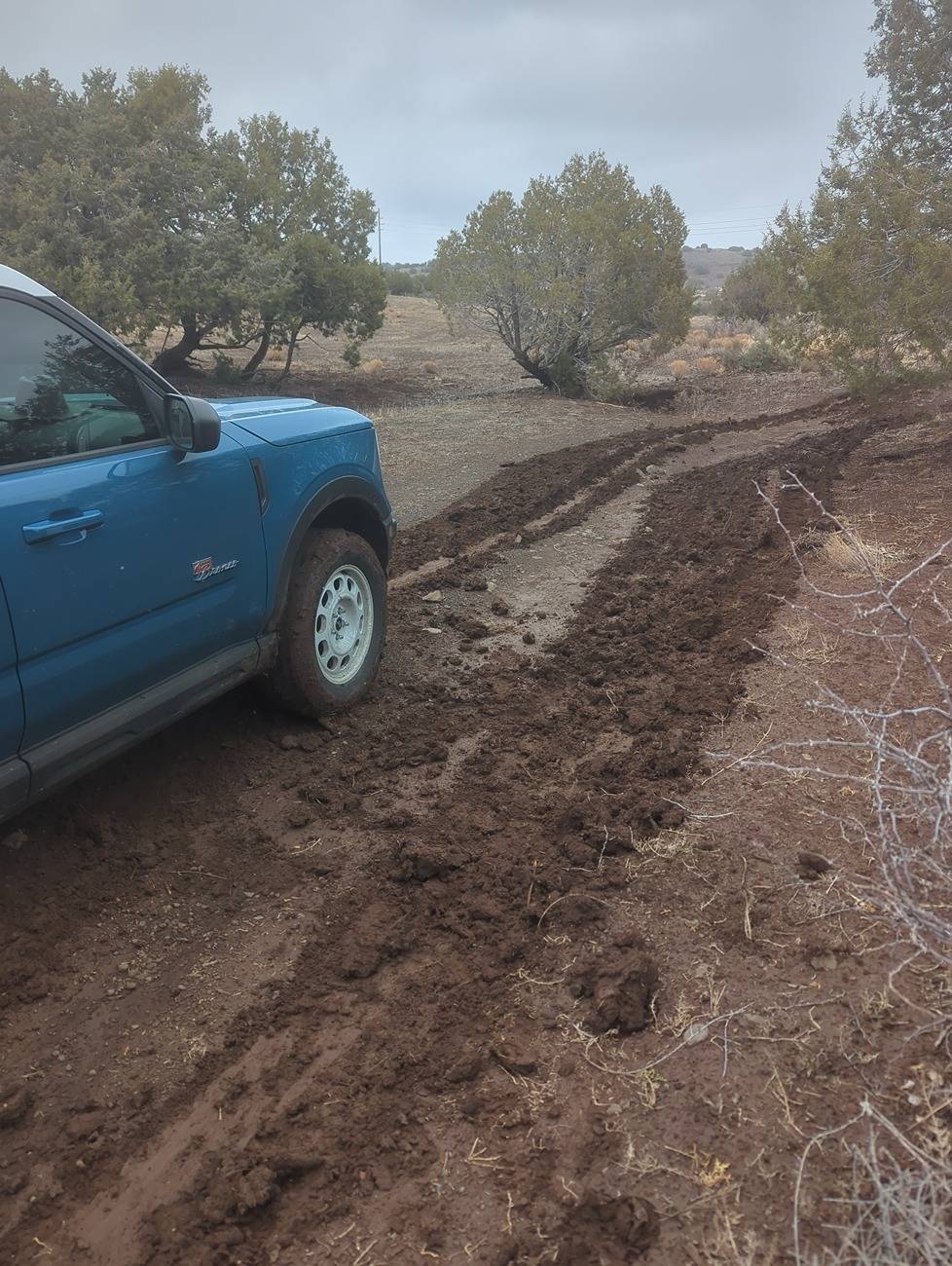 Ford Bronco Sport God dang I love my baby bronco 5acef97a-0663-4233-a8bb-29c81413a286