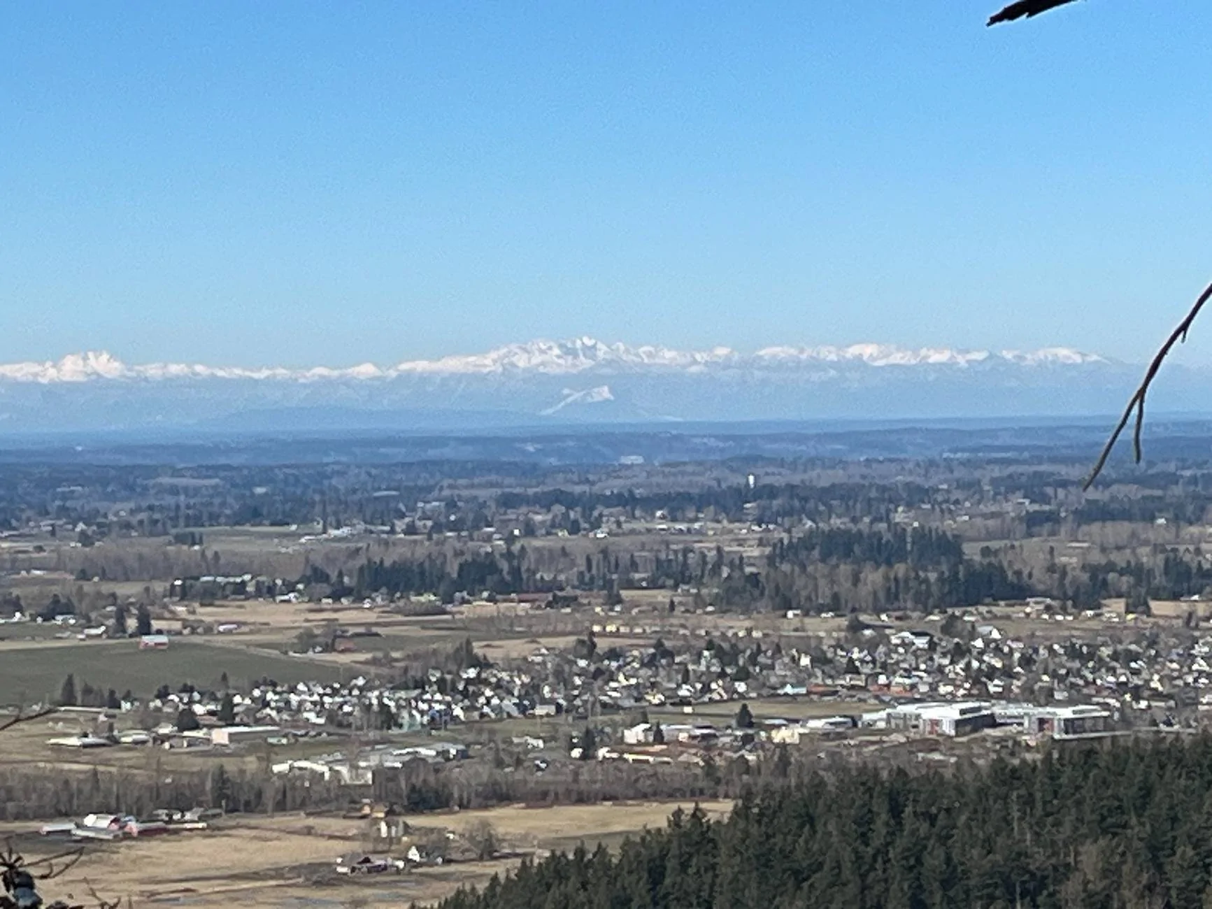 Ford Bronco Sport Why did you choose a Bronco Sport? IMG_2288