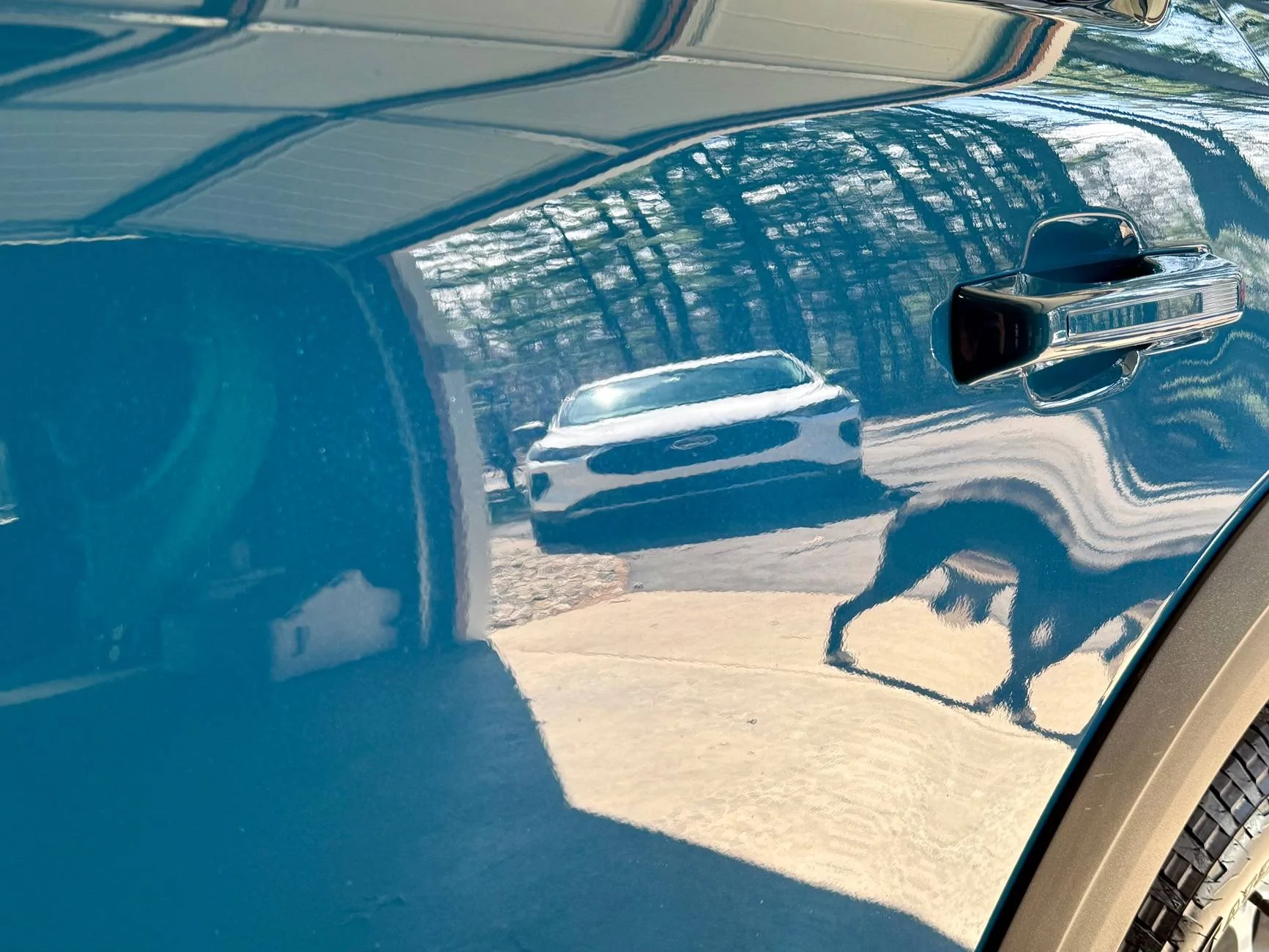 Ford Bronco Sport What did you do TO your Bronco Sport today? IMG_8957