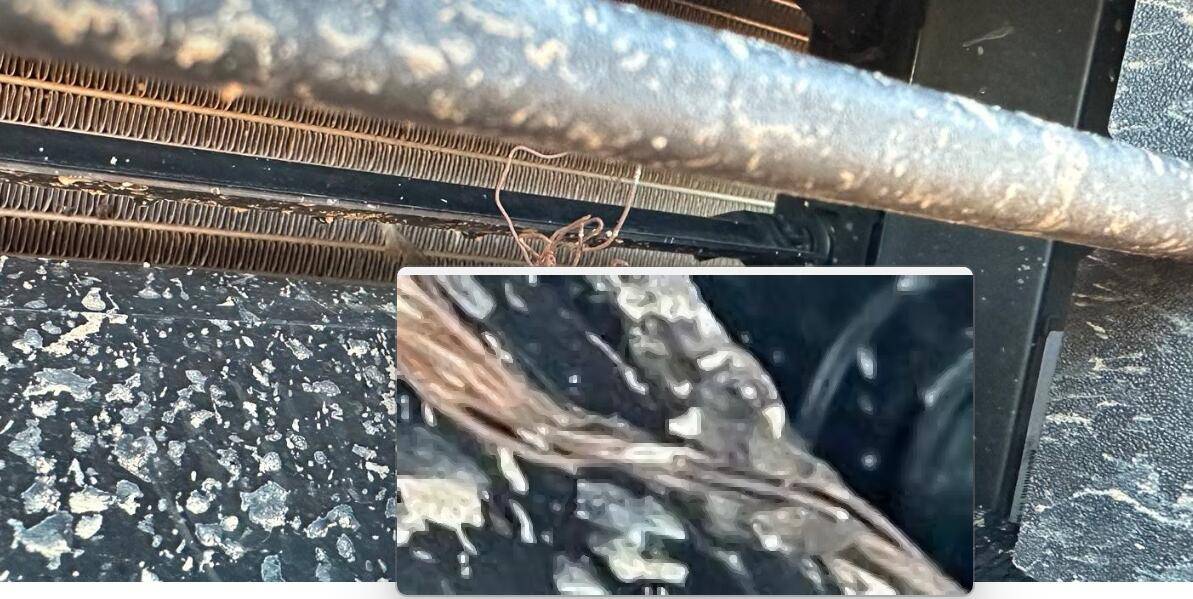 Ford Bronco Sport What is this wire in front of grill? 1742905825109-q2