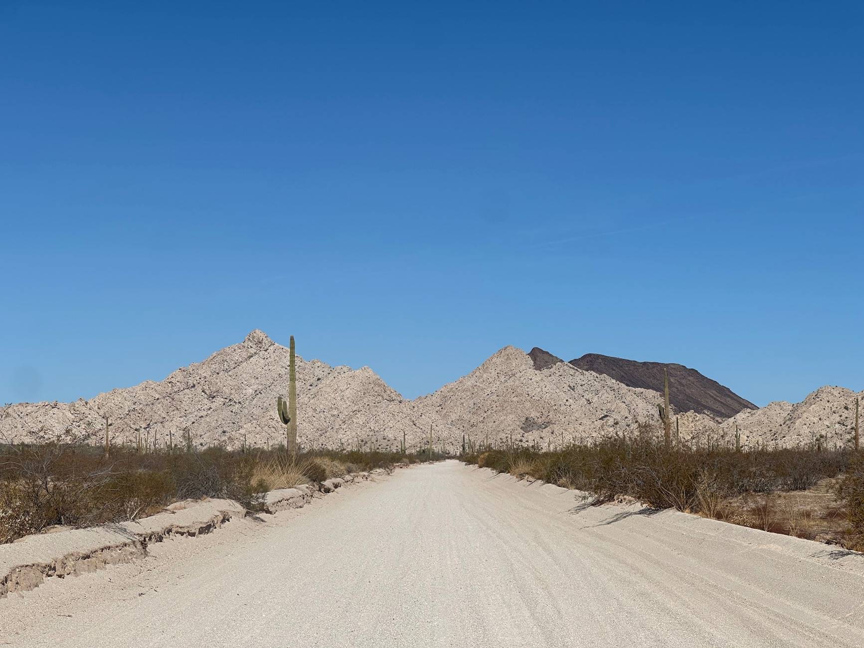 Ford Bronco Sport Trip Report: Cabeza Prieta and Kofa National Wildlife Refugees IMG_1917