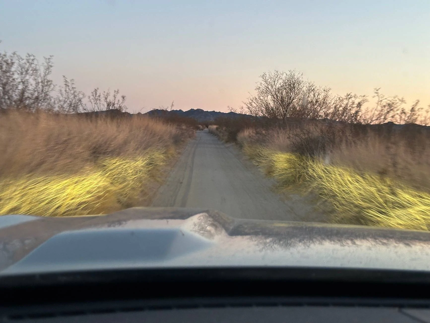 Ford Bronco Sport Trip Report: Cabeza Prieta and Kofa National Wildlife Refugees IMG_1878