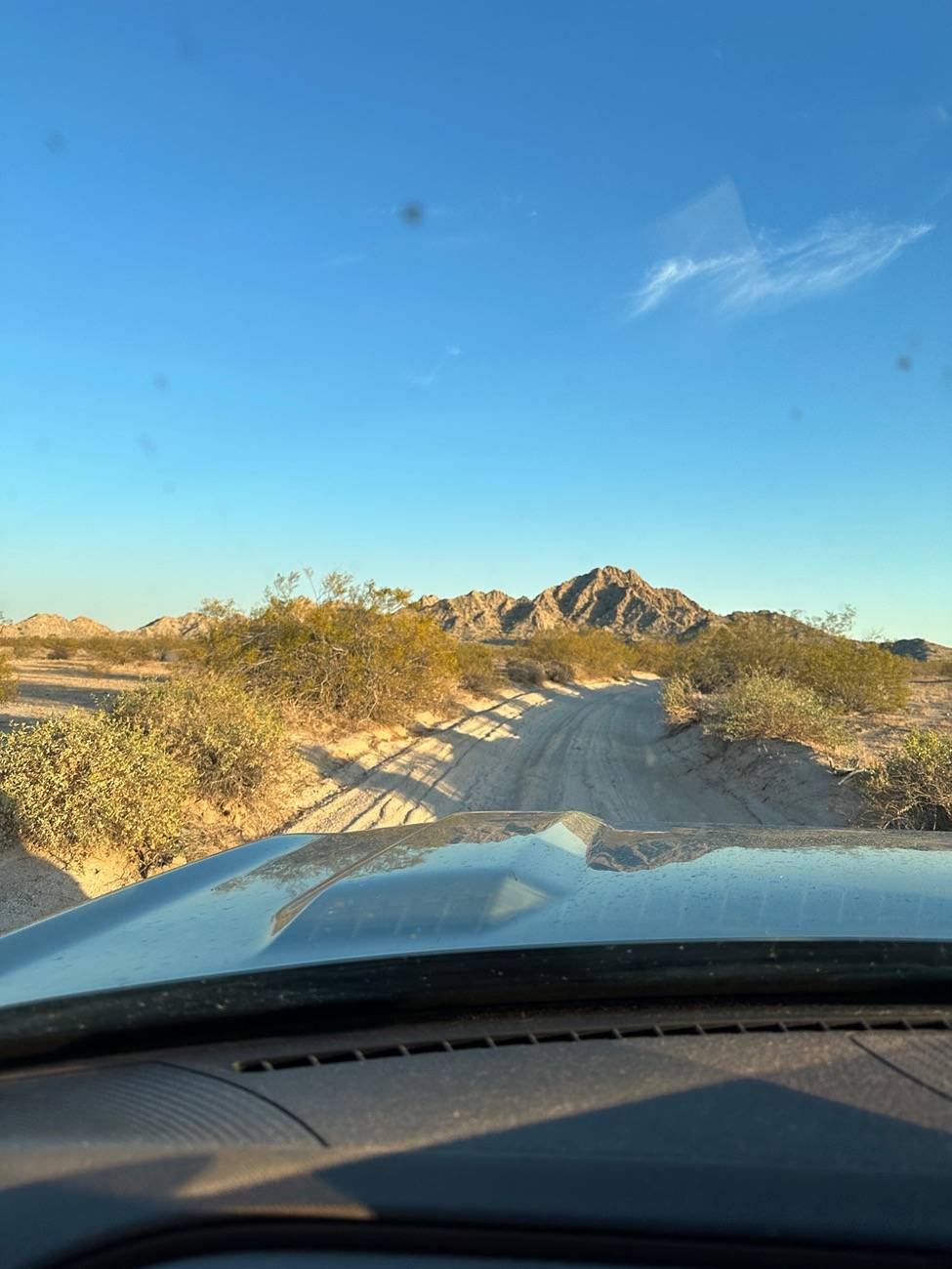 Ford Bronco Sport Trip Report: Cabeza Prieta and Kofa National Wildlife Refugees IMG_1871