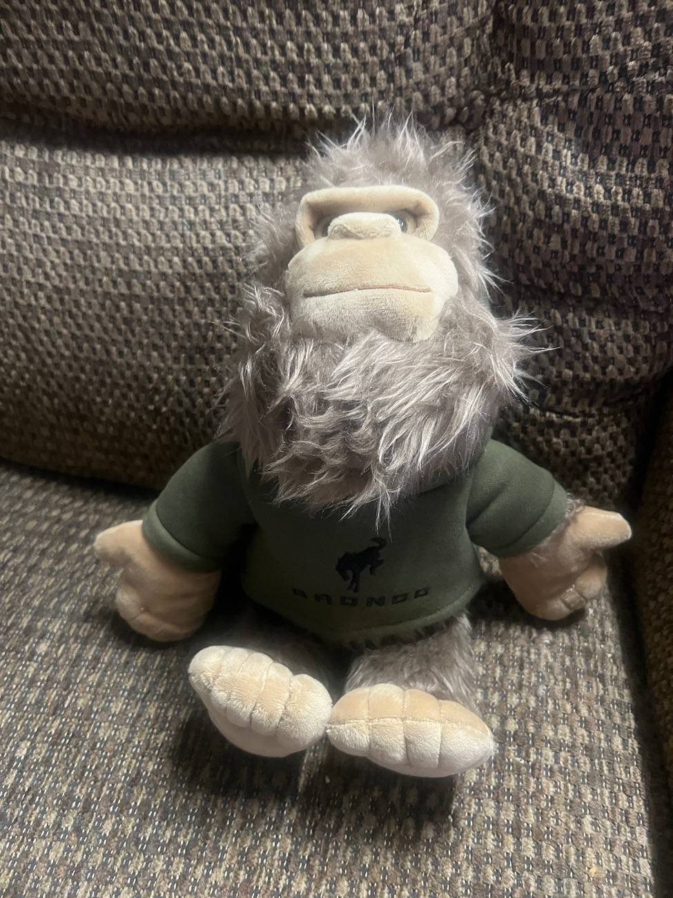 Ford Bronco Sport What did you do TO your Bronco Sport today? IMG_6956