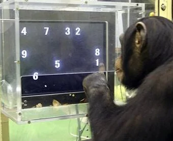 Ford Bronco Sport More RDU issues 1743457302684-al