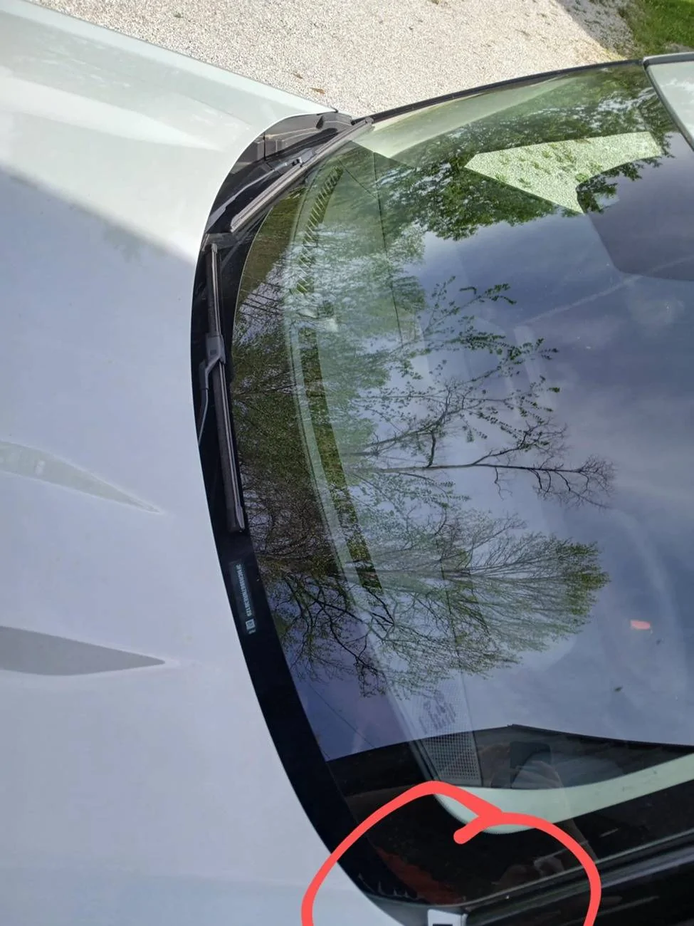 Ford Bronco Sport WTB: fog light cover / windshield cowl moulding 1000000702