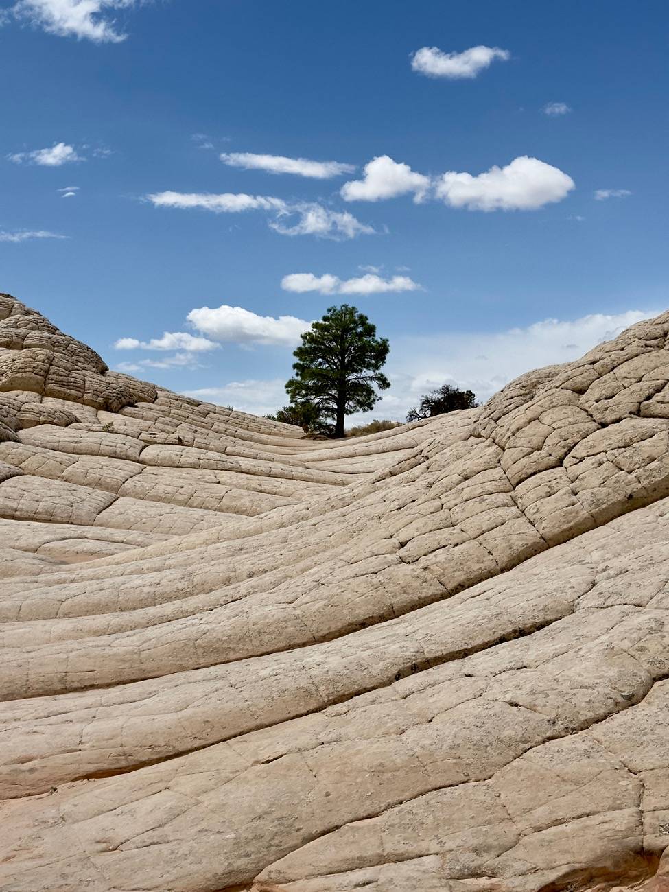 Ford Bronco Sport Trip Report: White Pocket, Vermillion Cliffs National Monument IMG_2274