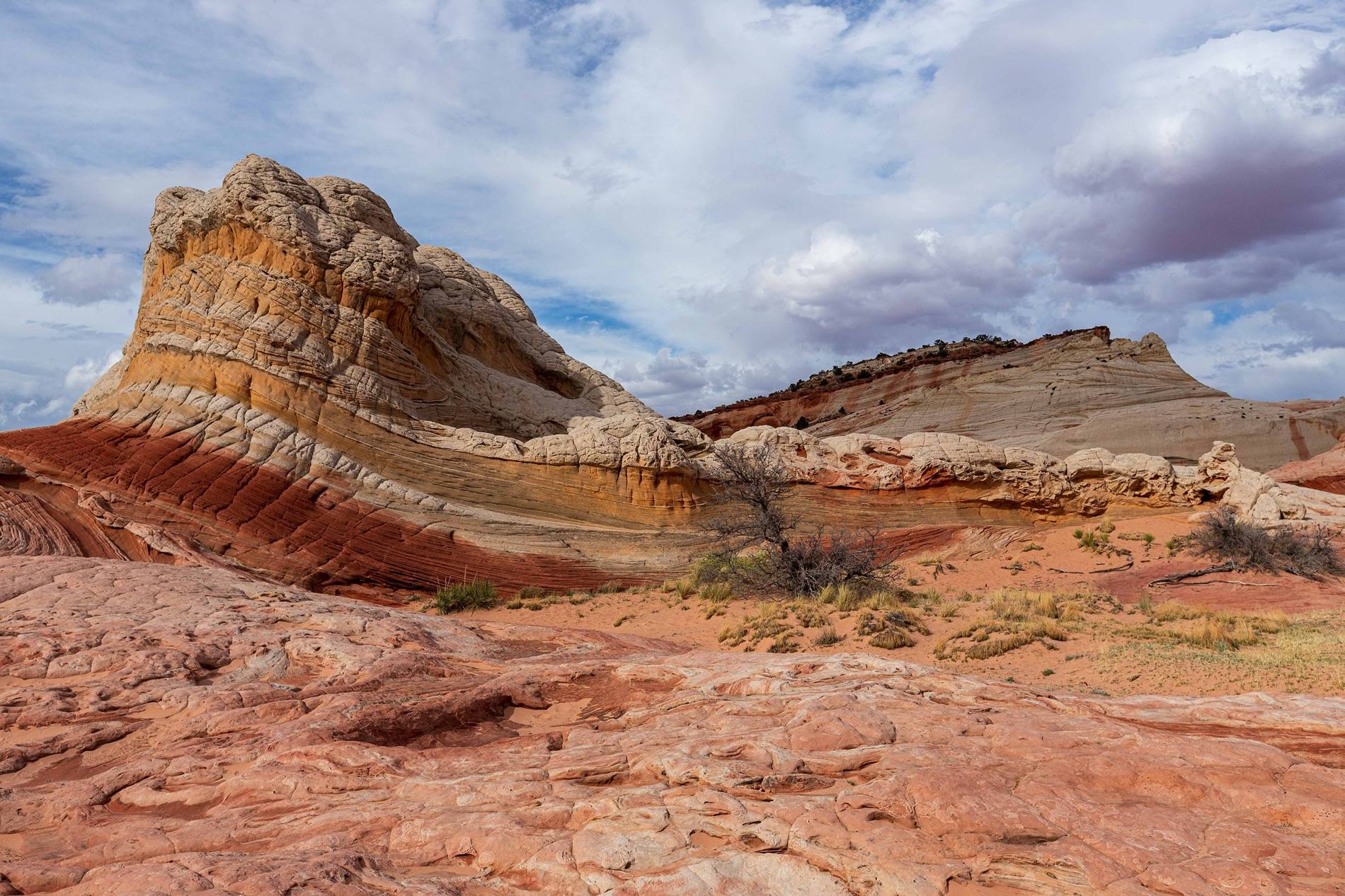 Ford Bronco Sport Trip Report: White Pocket, Vermillion Cliffs National Monument insta-8001