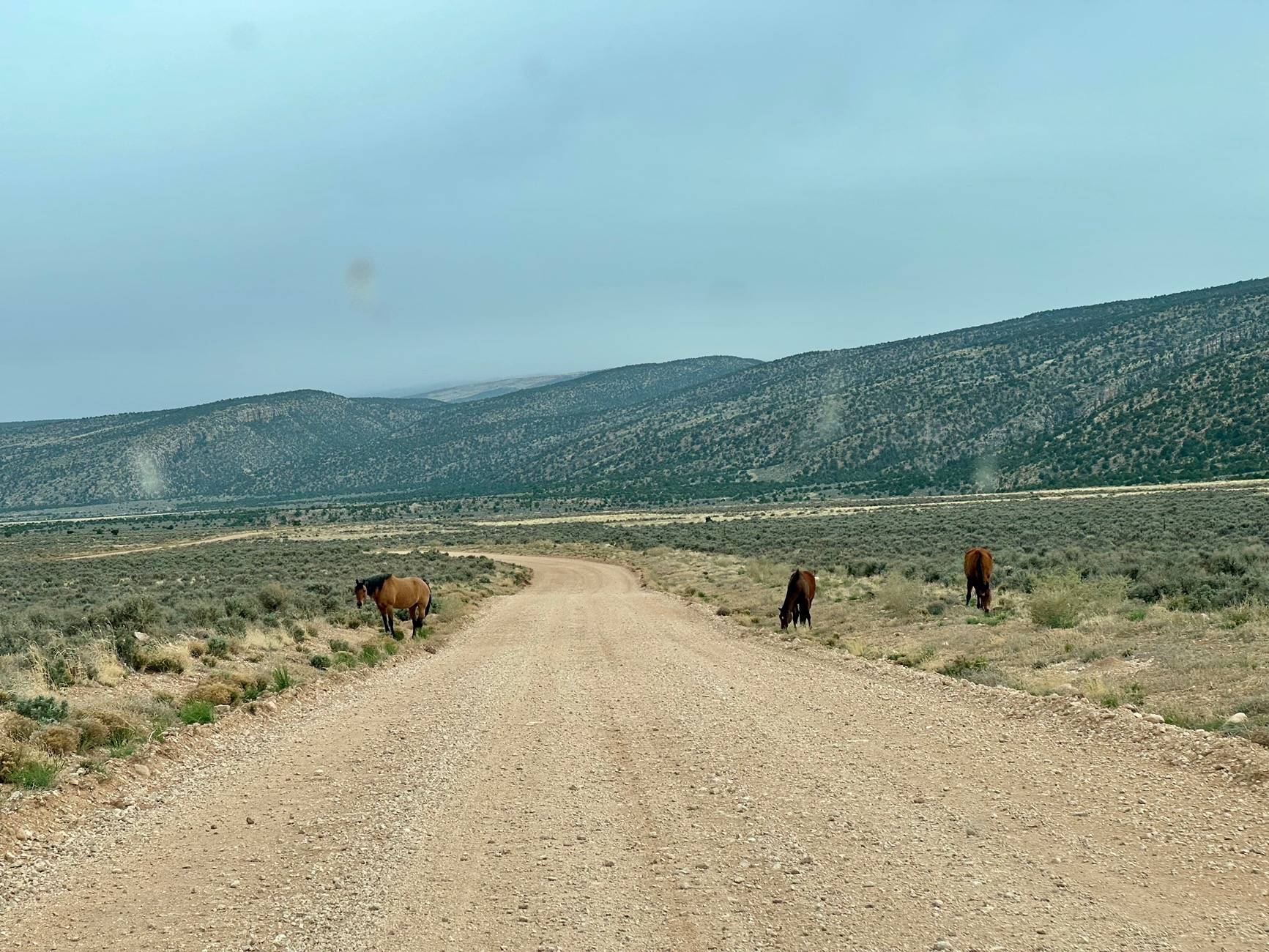 Ford Bronco Sport Trip Report: White Pocket, Vermillion Cliffs National Monument IMG_2337