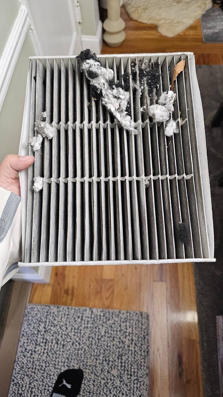 Ford Bronco Sport Fluff on cabin air filter at 33,000 miles? 20250504_180012