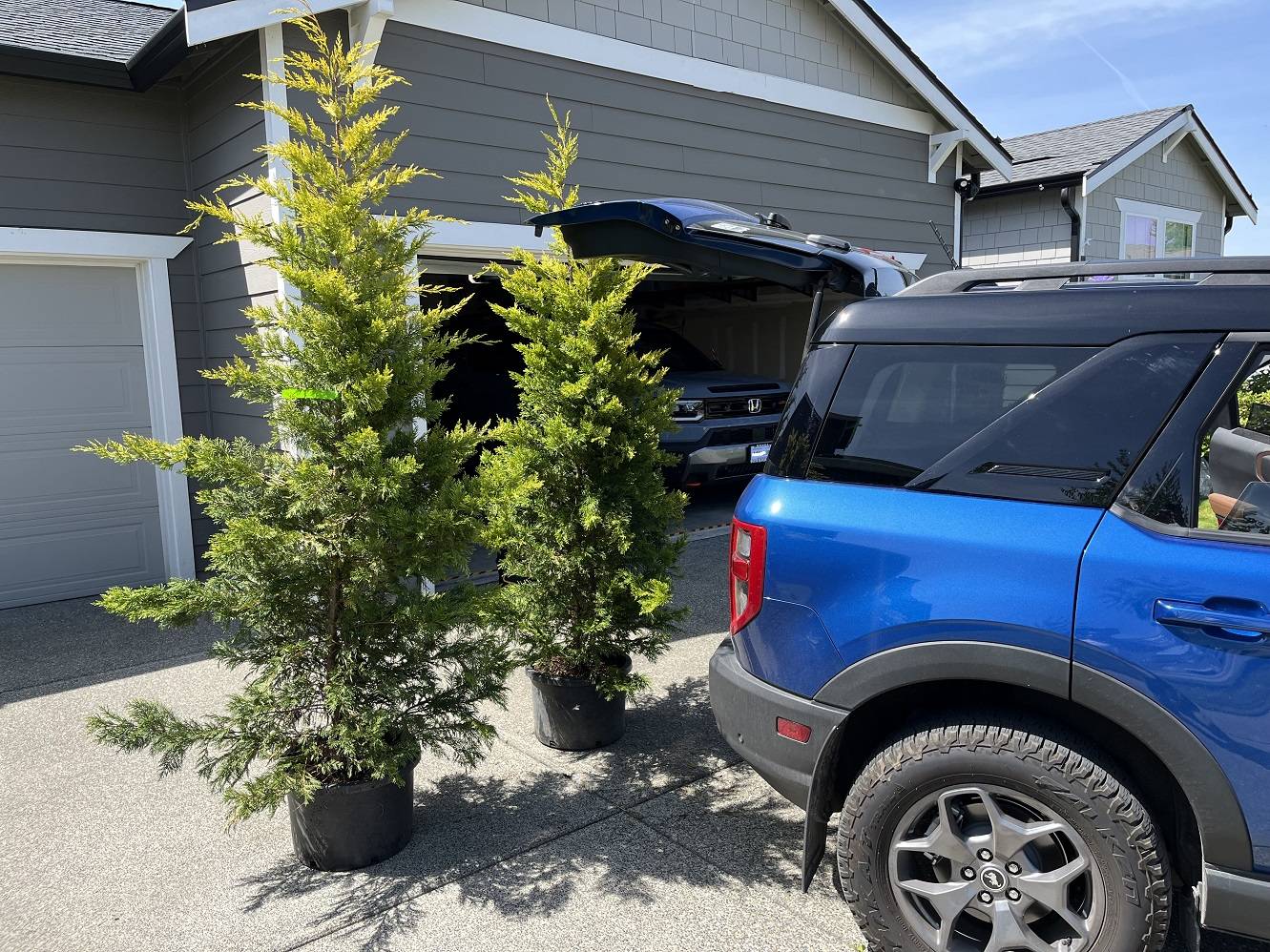Ford Bronco Sport Hauling Lumber IMG_2702.JPG