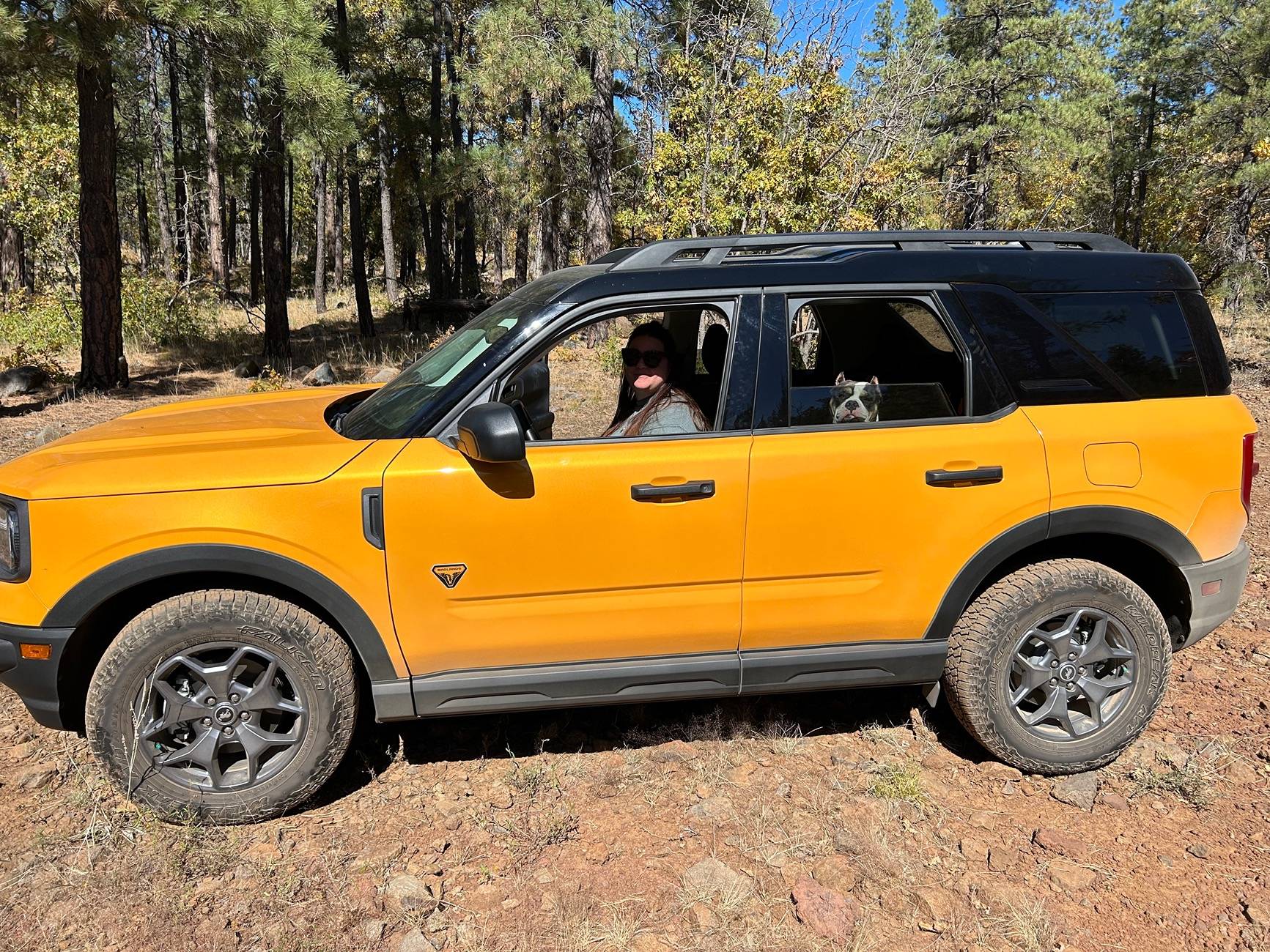 Ford Bronco Sport Are You a Cat Person or a Dog Person? IMG_1019