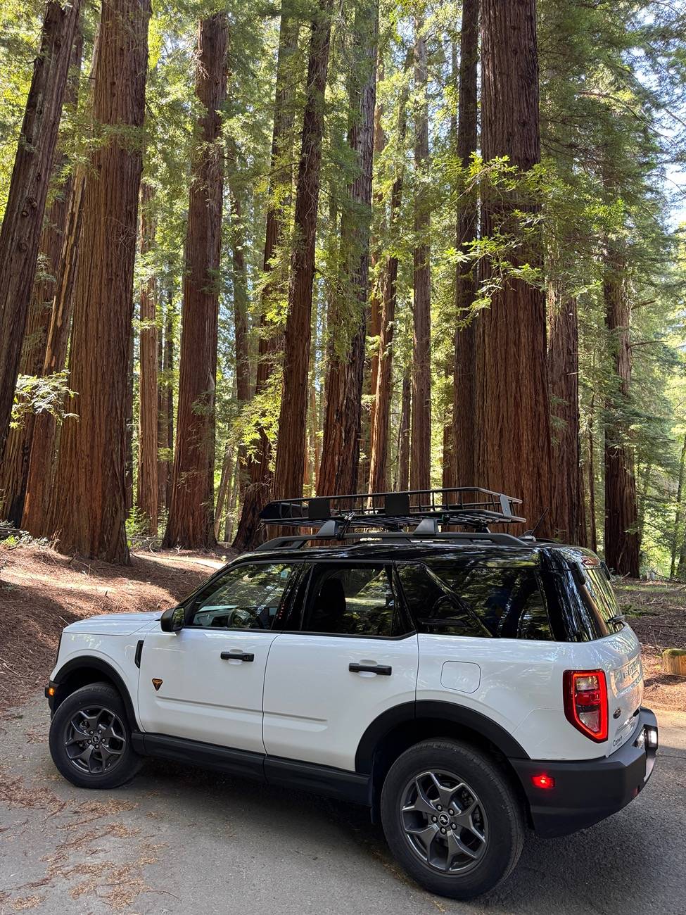 Ford Bronco Sport Redwood country IMG_9382